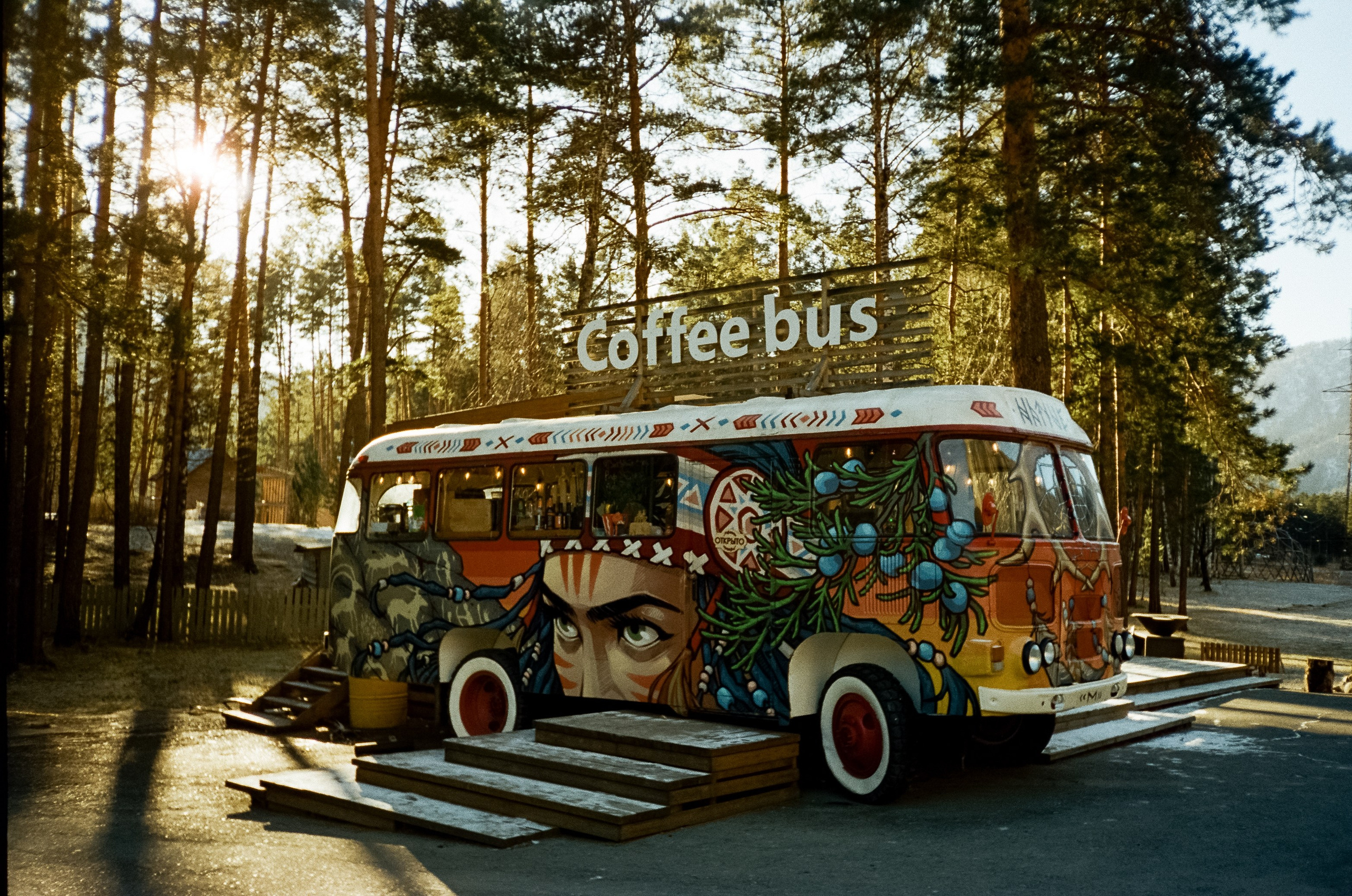 Зимняя Катунь: острова, льды, скалы у базы Берель. Зеленые сосны и. Фотограф-документалист Мария Осокина