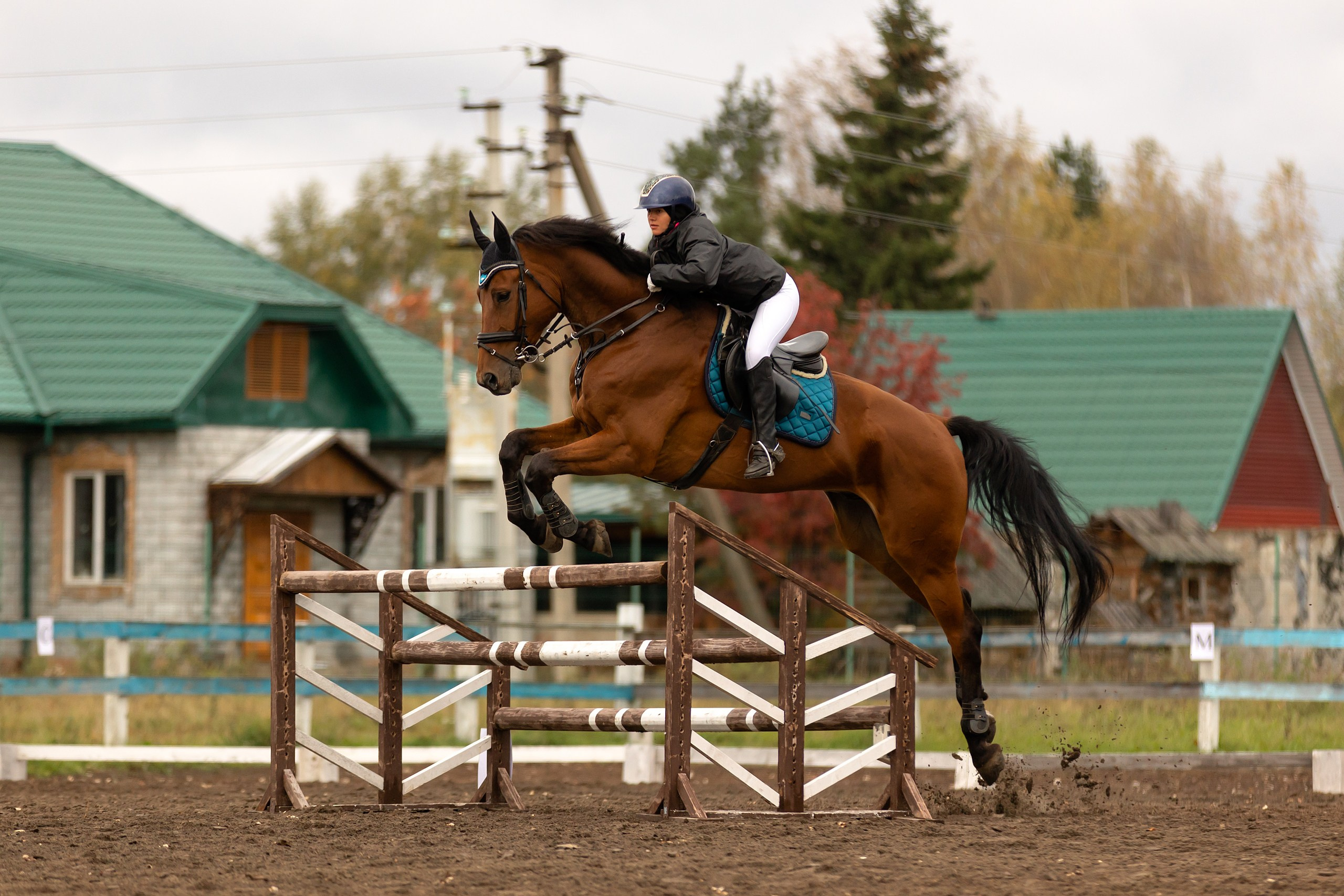 Соревнования по конному спорту. Конный фотограф Валынкина Лера