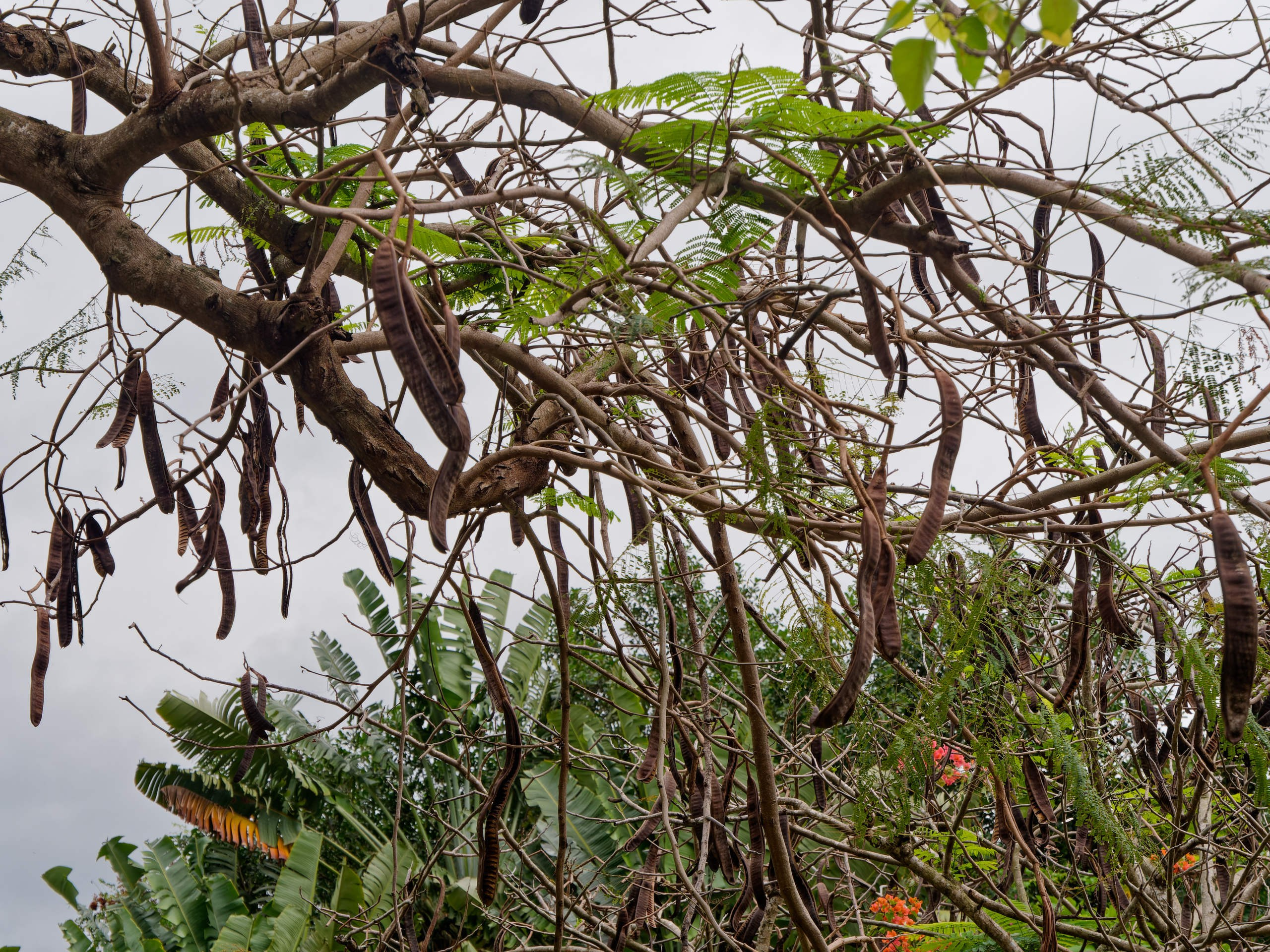 Нячанг 2025 (4). Избранные фотографии