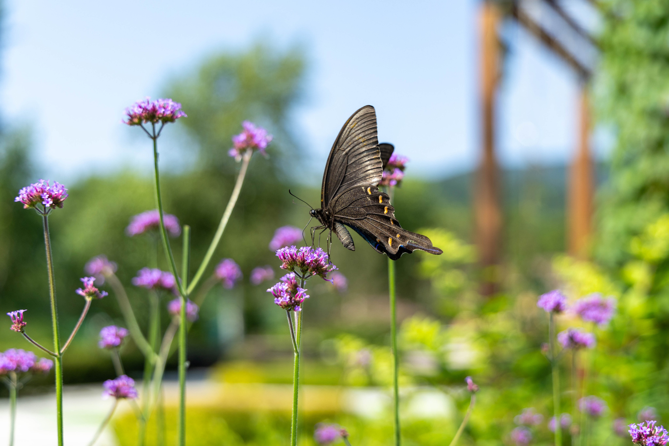 Корпоратив УК ЖКИ. Репортажный и портретный фотограф в Владивостоке