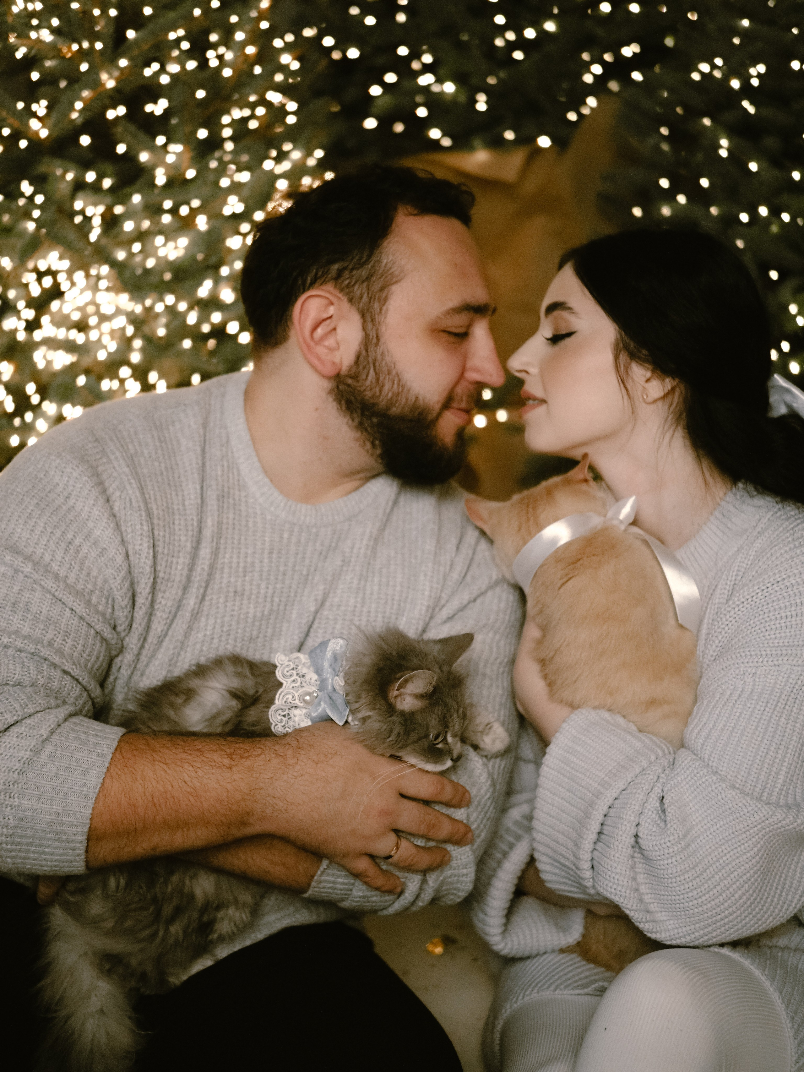 Mrrrr christmas. Фотограф Рязань. Семейный Свадебный фотограф