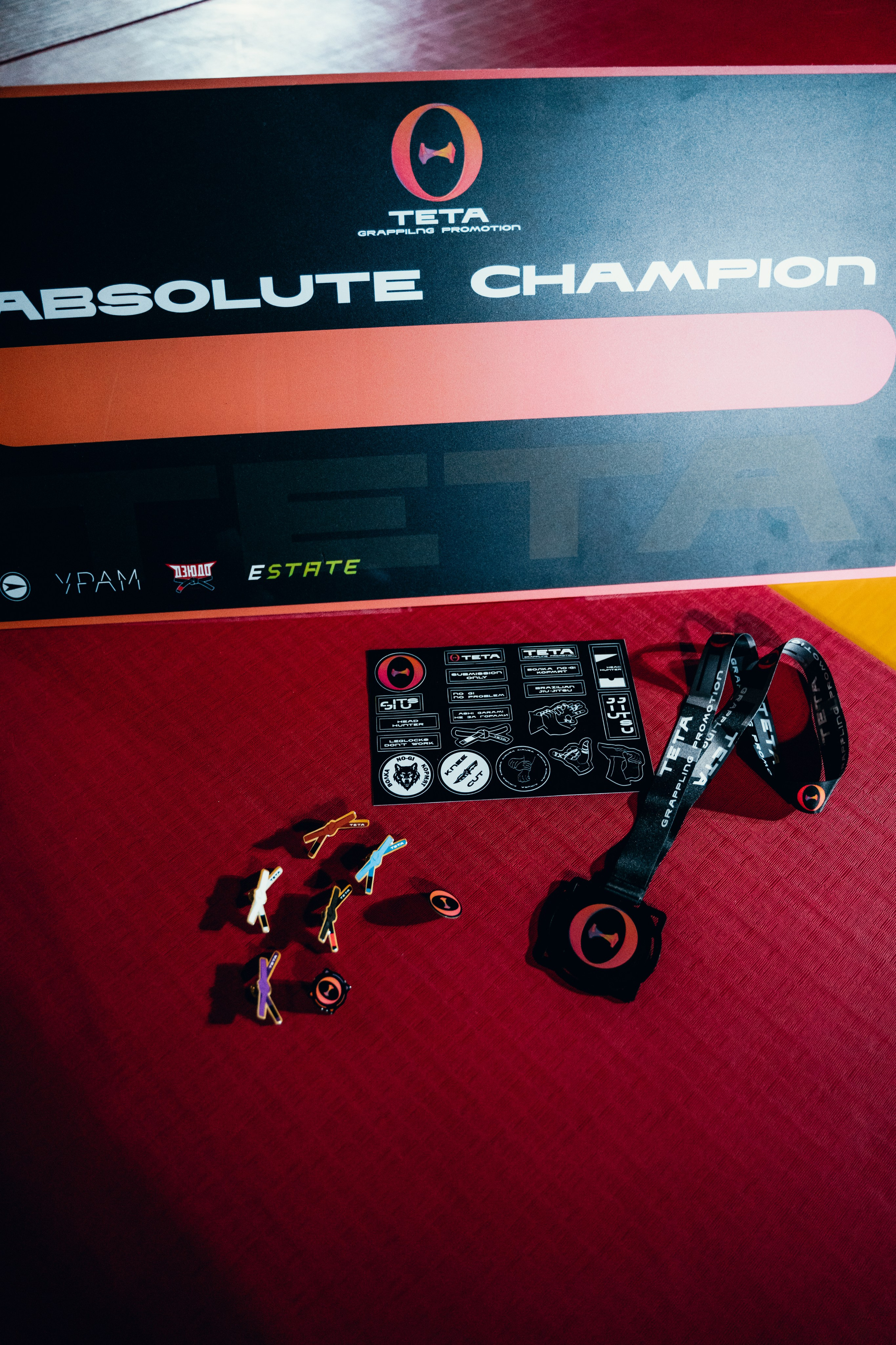 Турнир Teta Promotion 2024. Главная