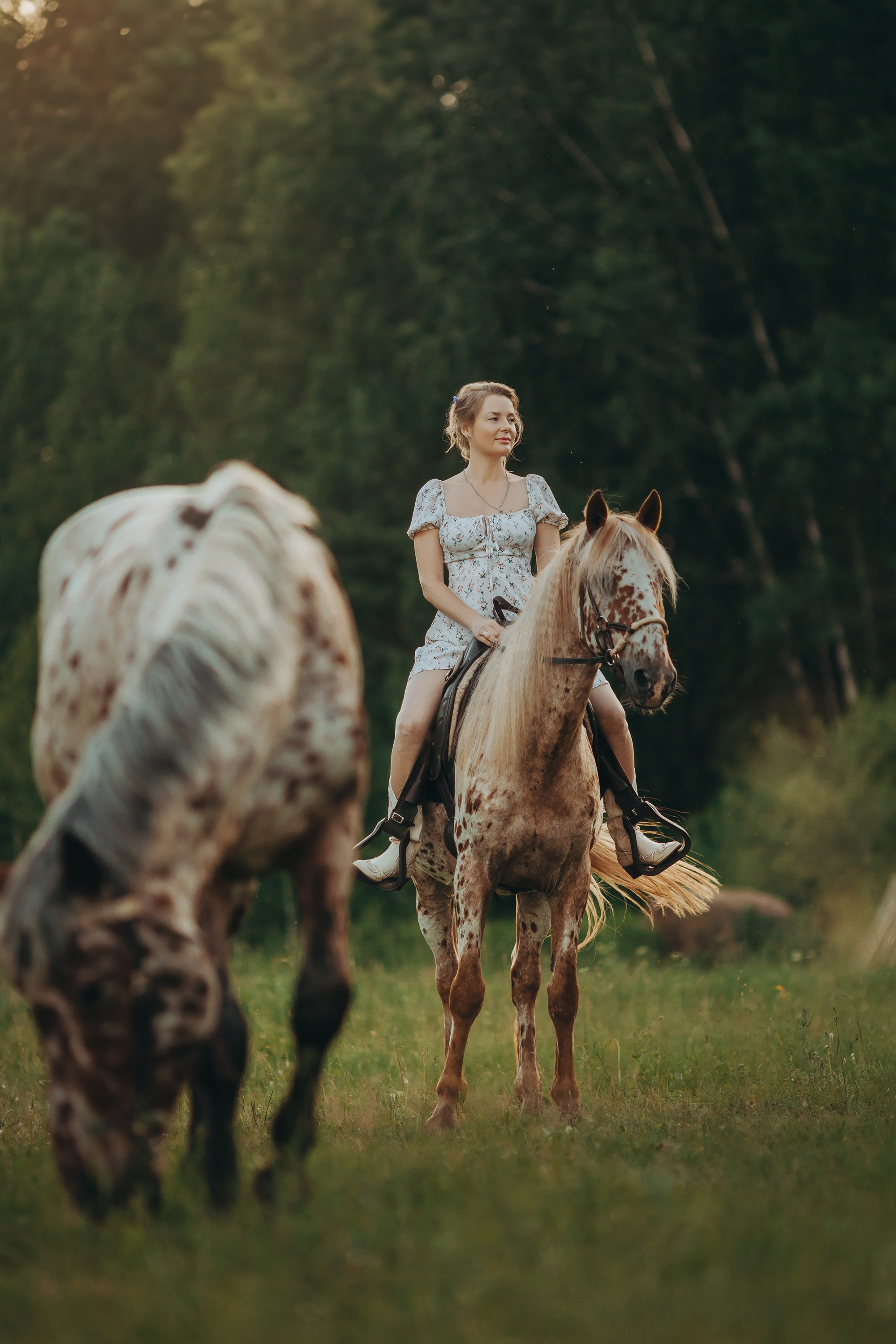 Пятнистая история. Анна Молчанова конный фотограф в Тюмени | фотосессии с лошадьми Тюмень