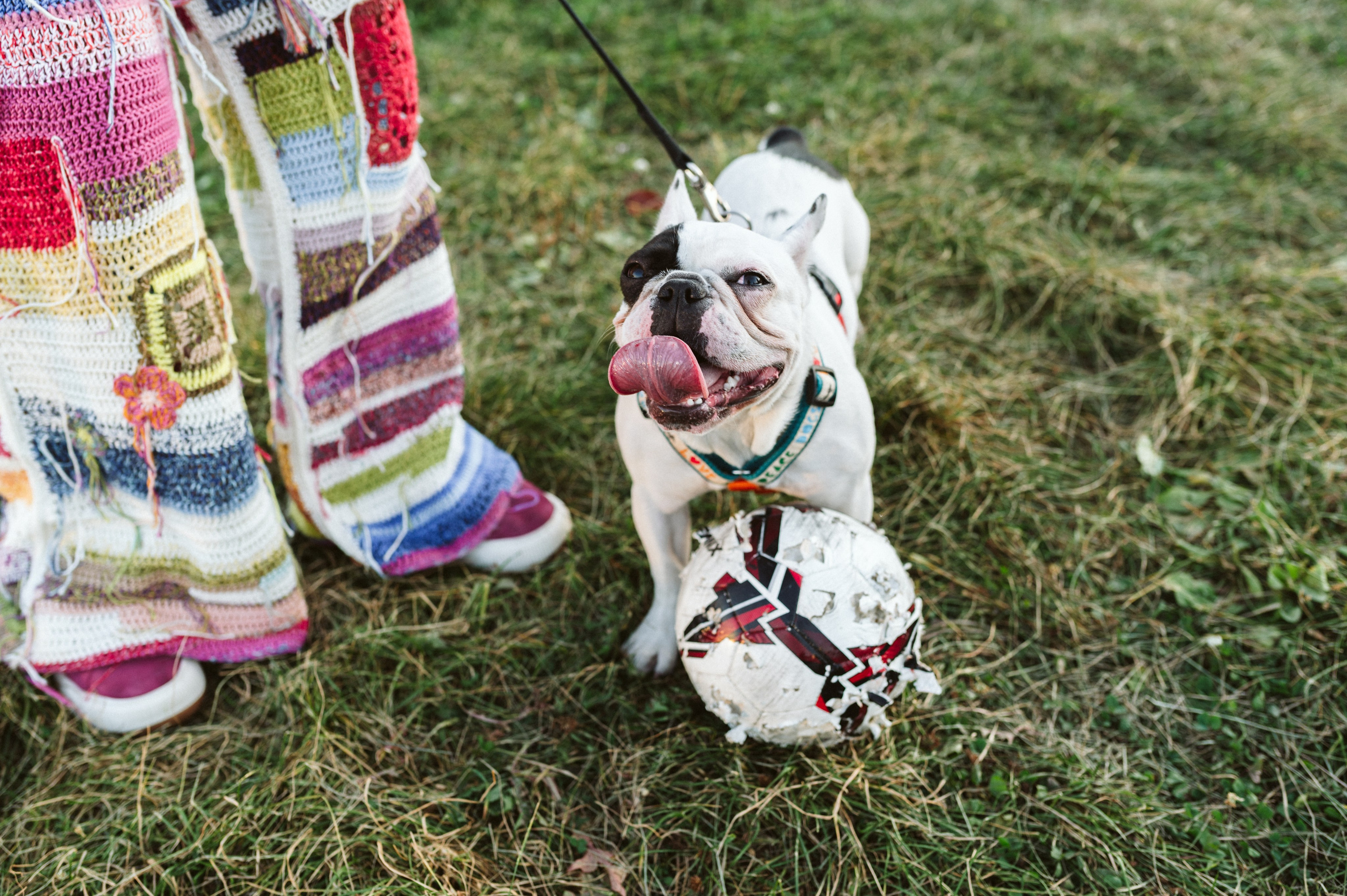 Инна и Белль. Фотограф анималист в Москве Ольга Агушева