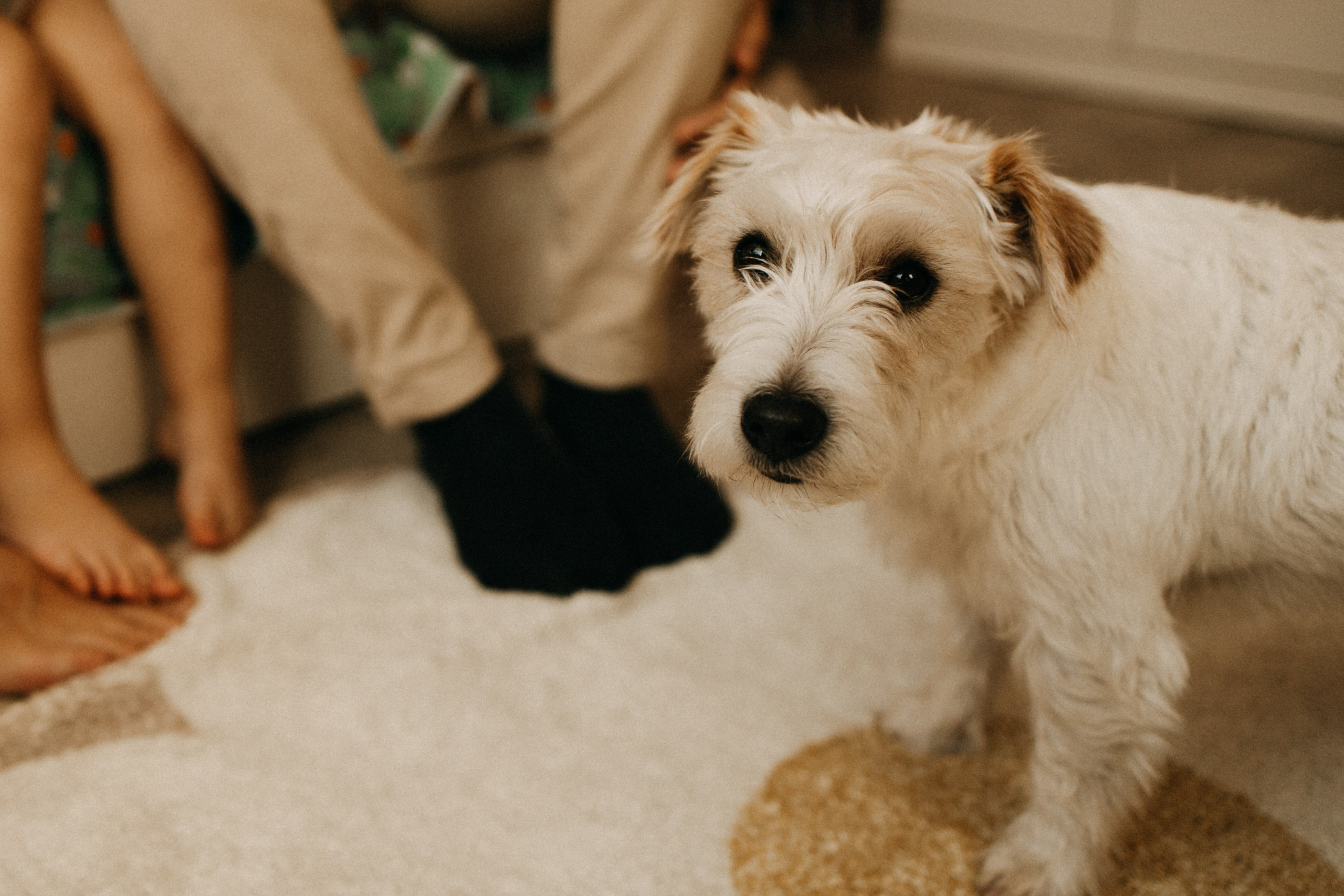 3 года. Фотограф Настя Леонова