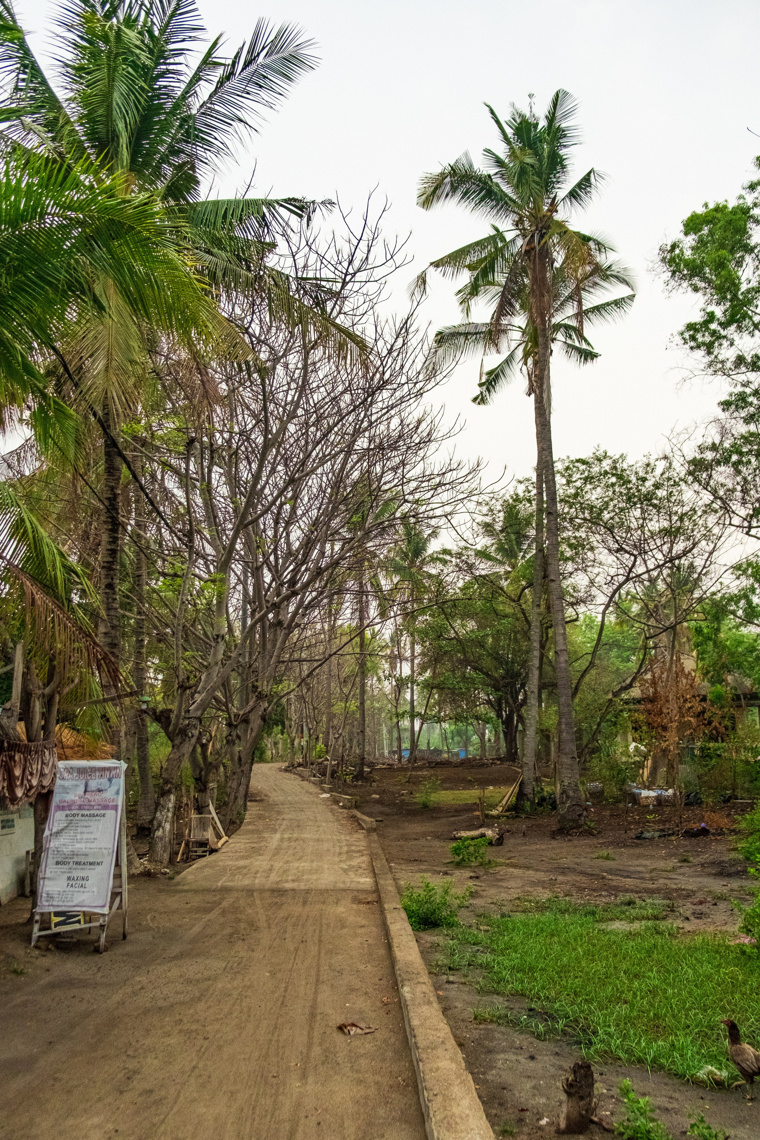 Остров Гили Эйр. Фотографии из путешествий