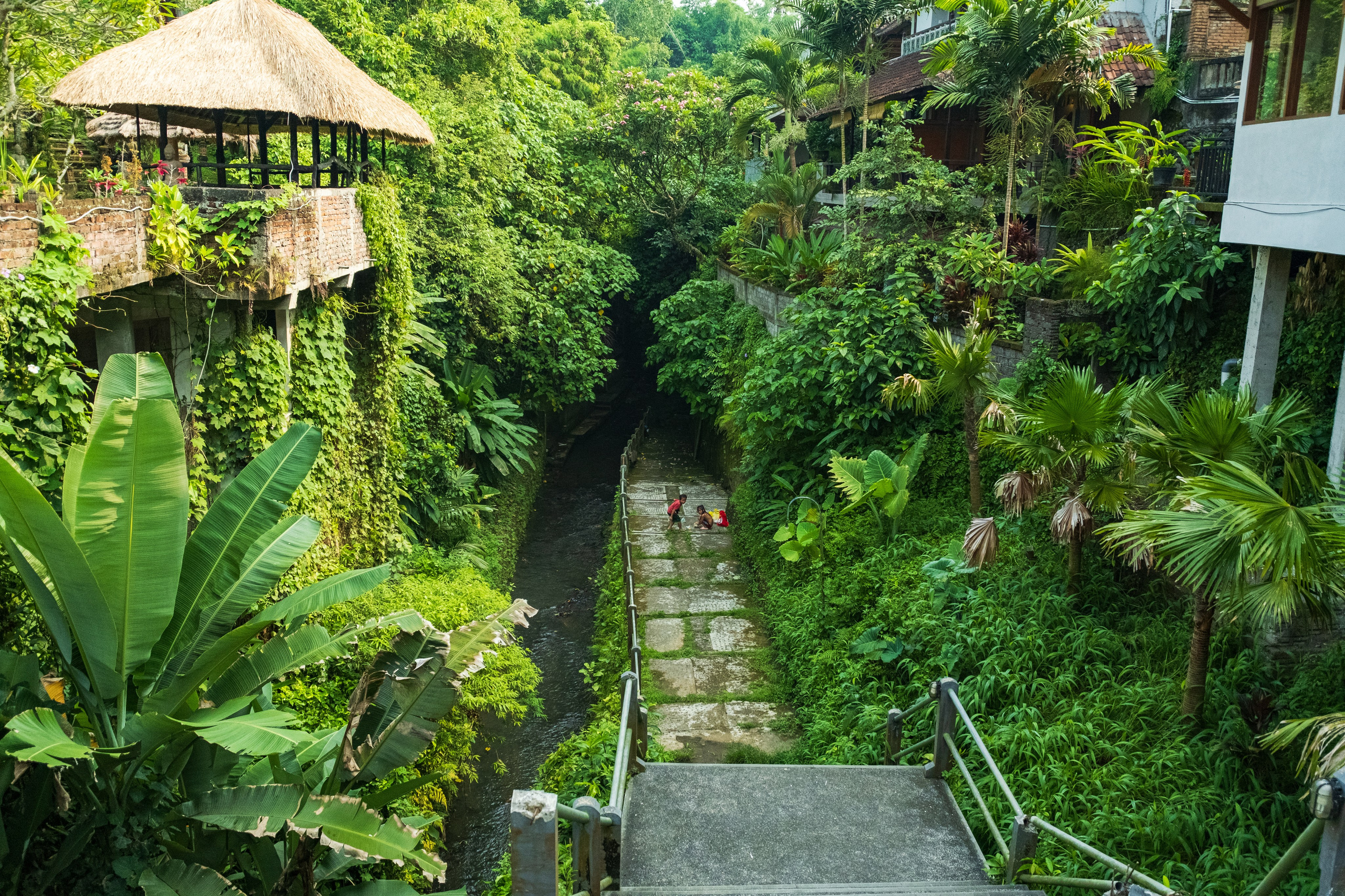 Остров Бали г. Убуд. Фотографии из путешествий