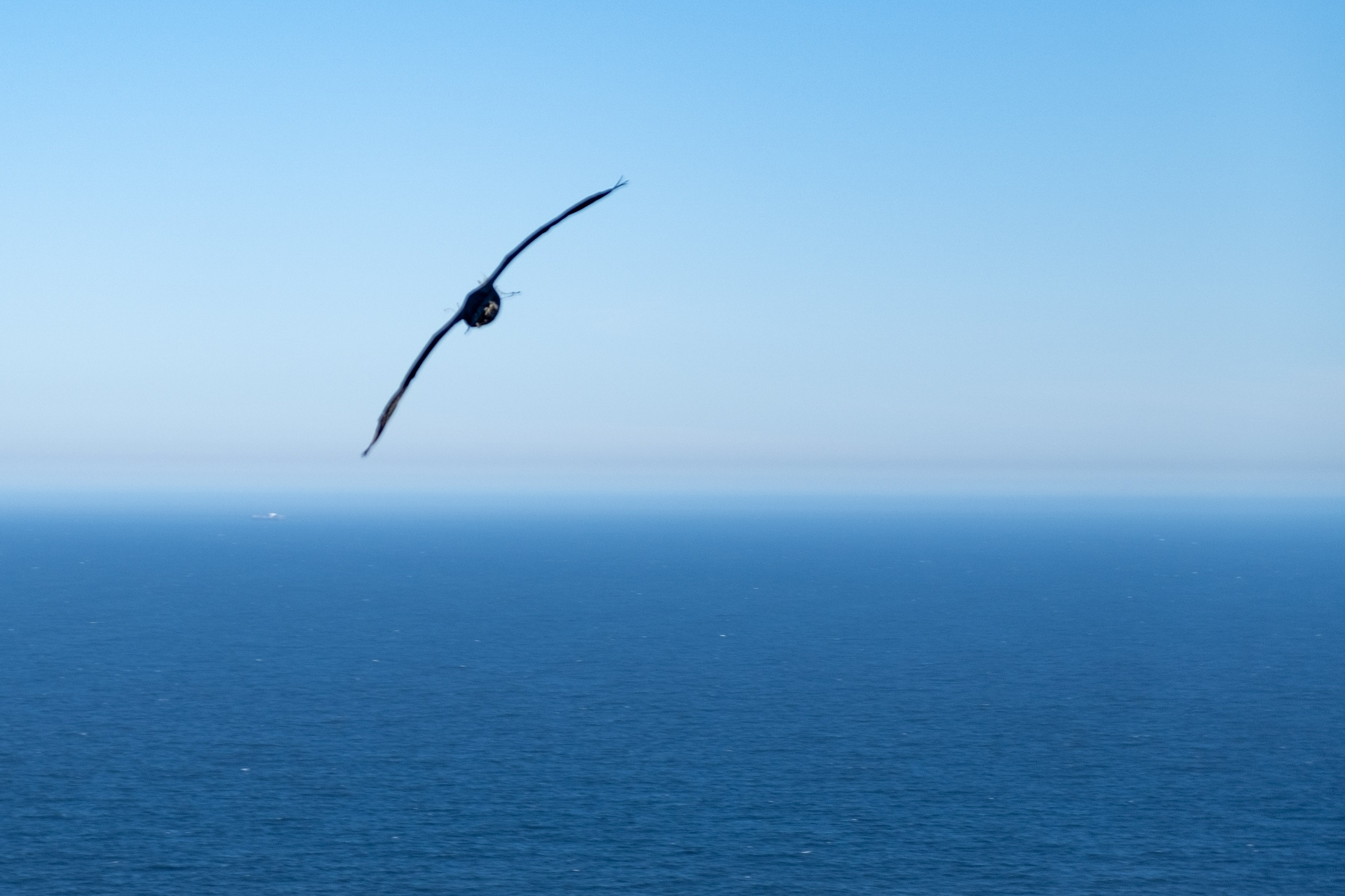 Мыс надежды. Фотографии из путешествий