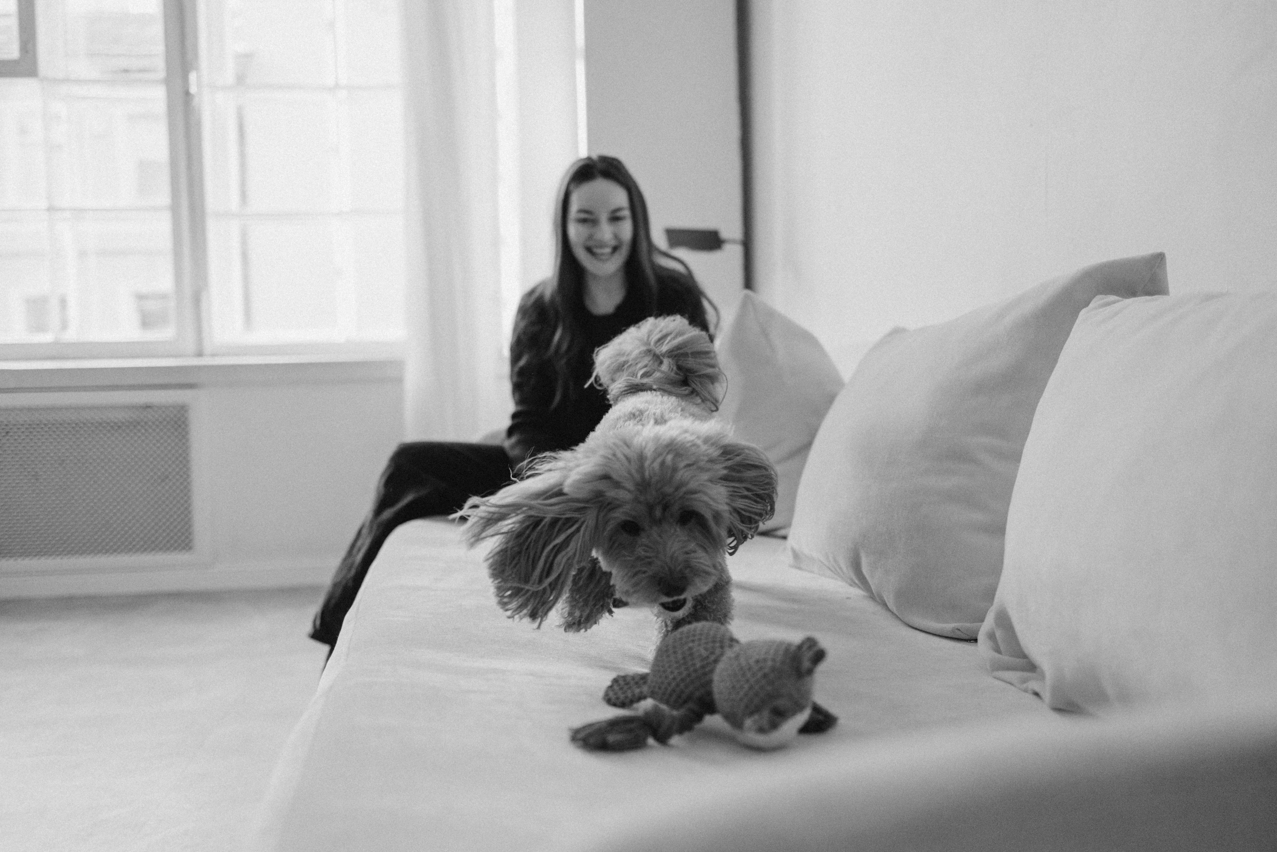 Шкипер и его семья. Фотограф — Анималист | Санкт-Петербург