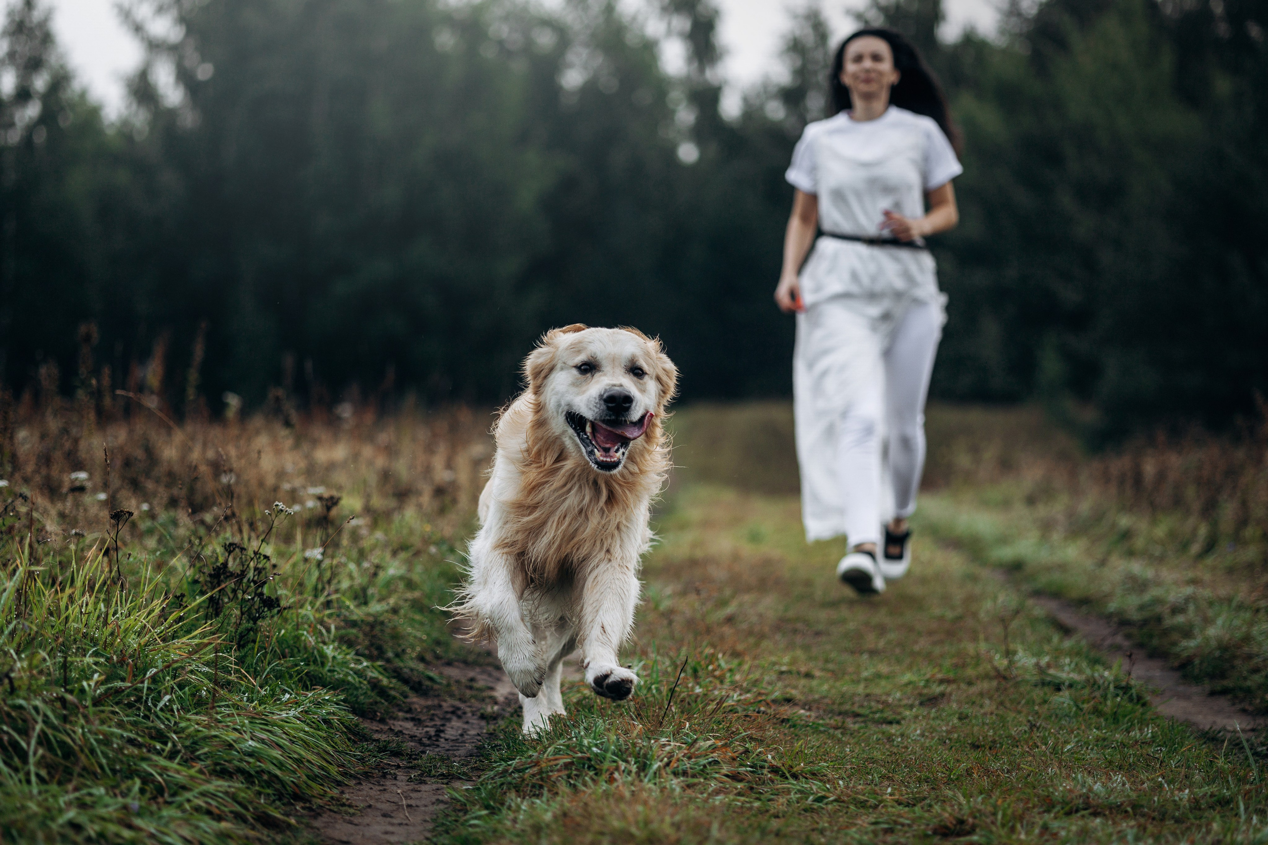 Лёва и его семья. Фотограф — Анималист | Санкт-Петербург