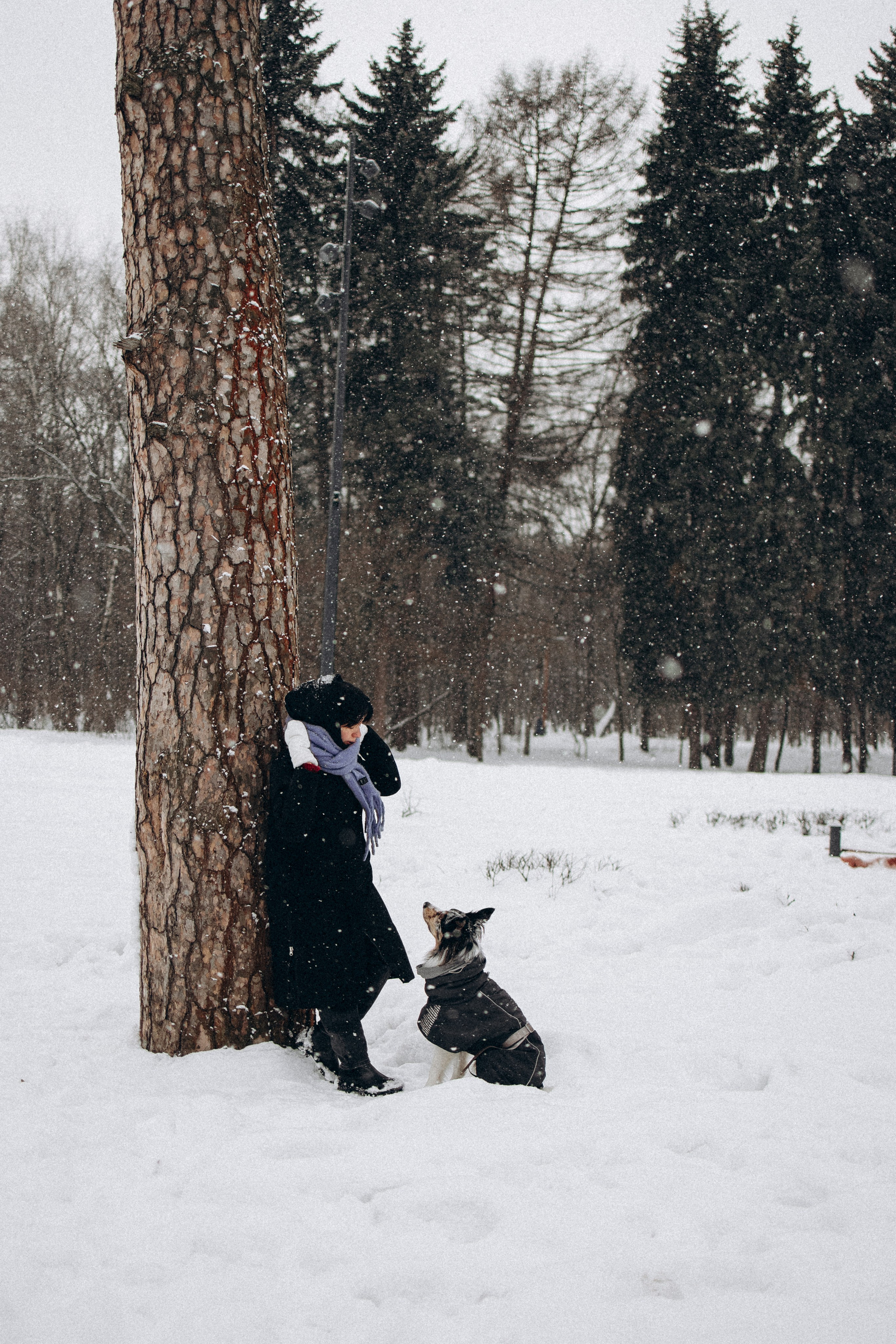 Настя и Тор. Фотораф — анималист Мария Шистка
