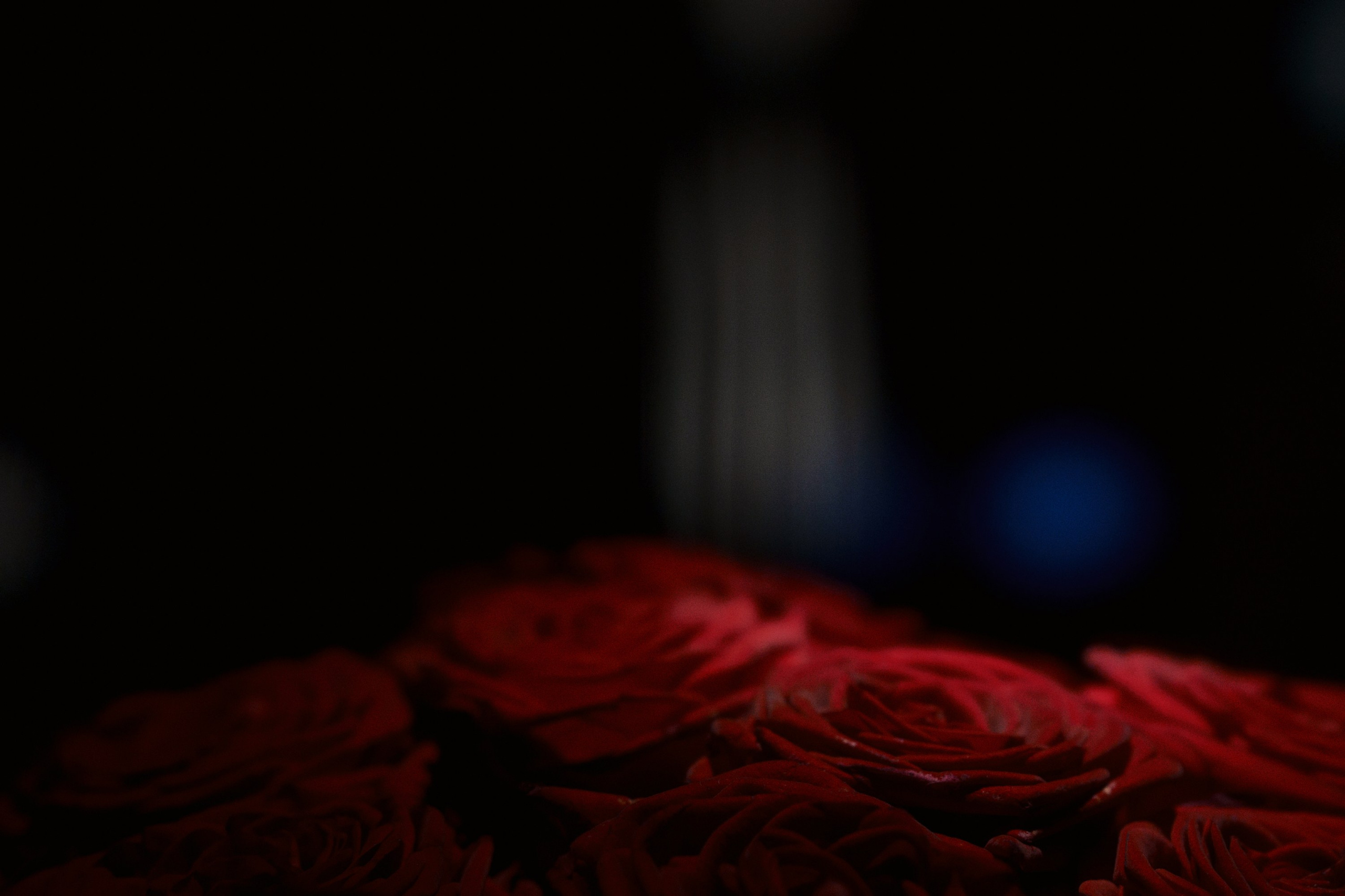 Café krasnodar / international women’s day. Фотограф Юрин Евгений