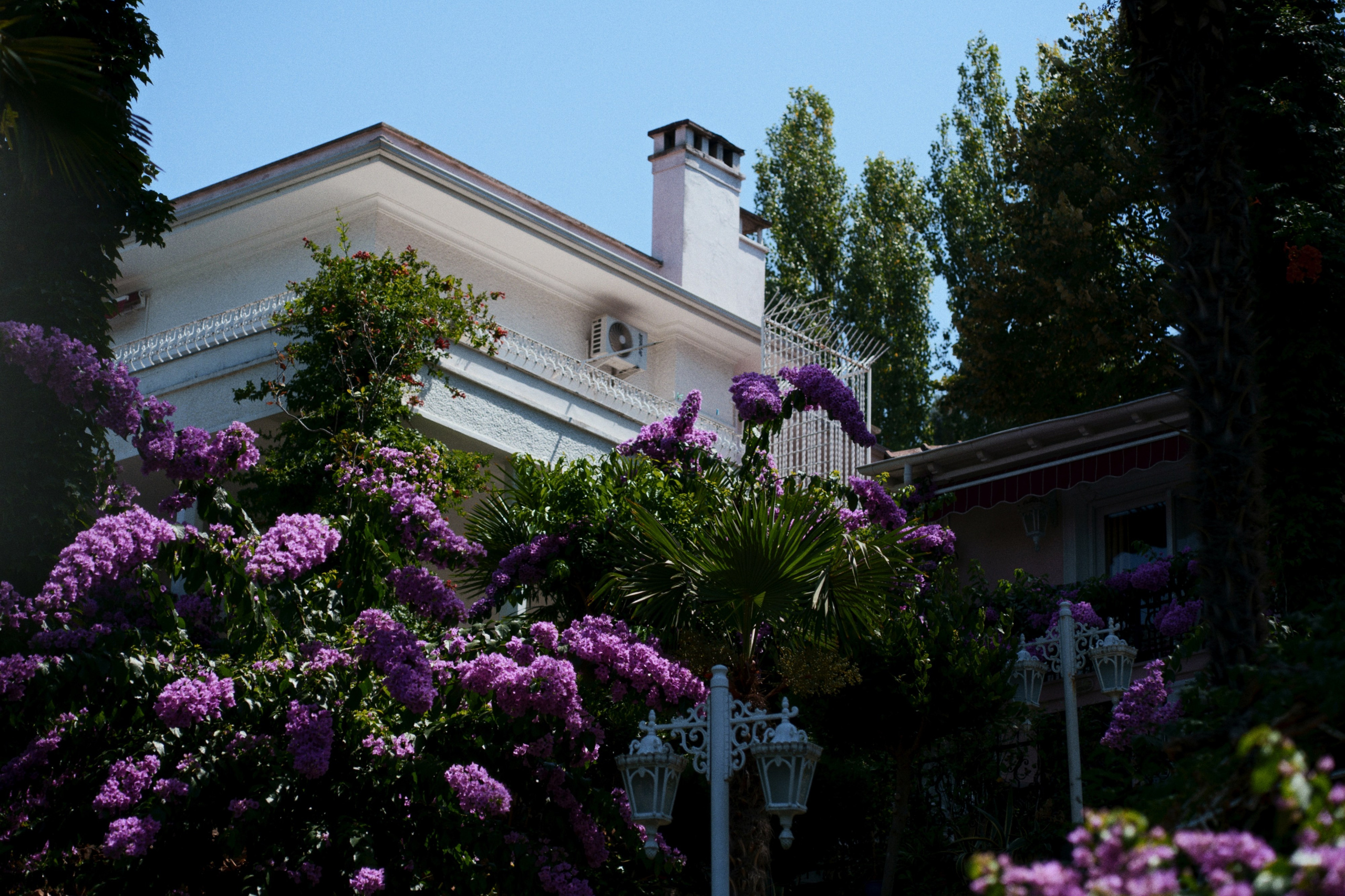 Büyükada х Heybeliada, Istanbul / Türkey SS25. Фотограф Юрин Евгений