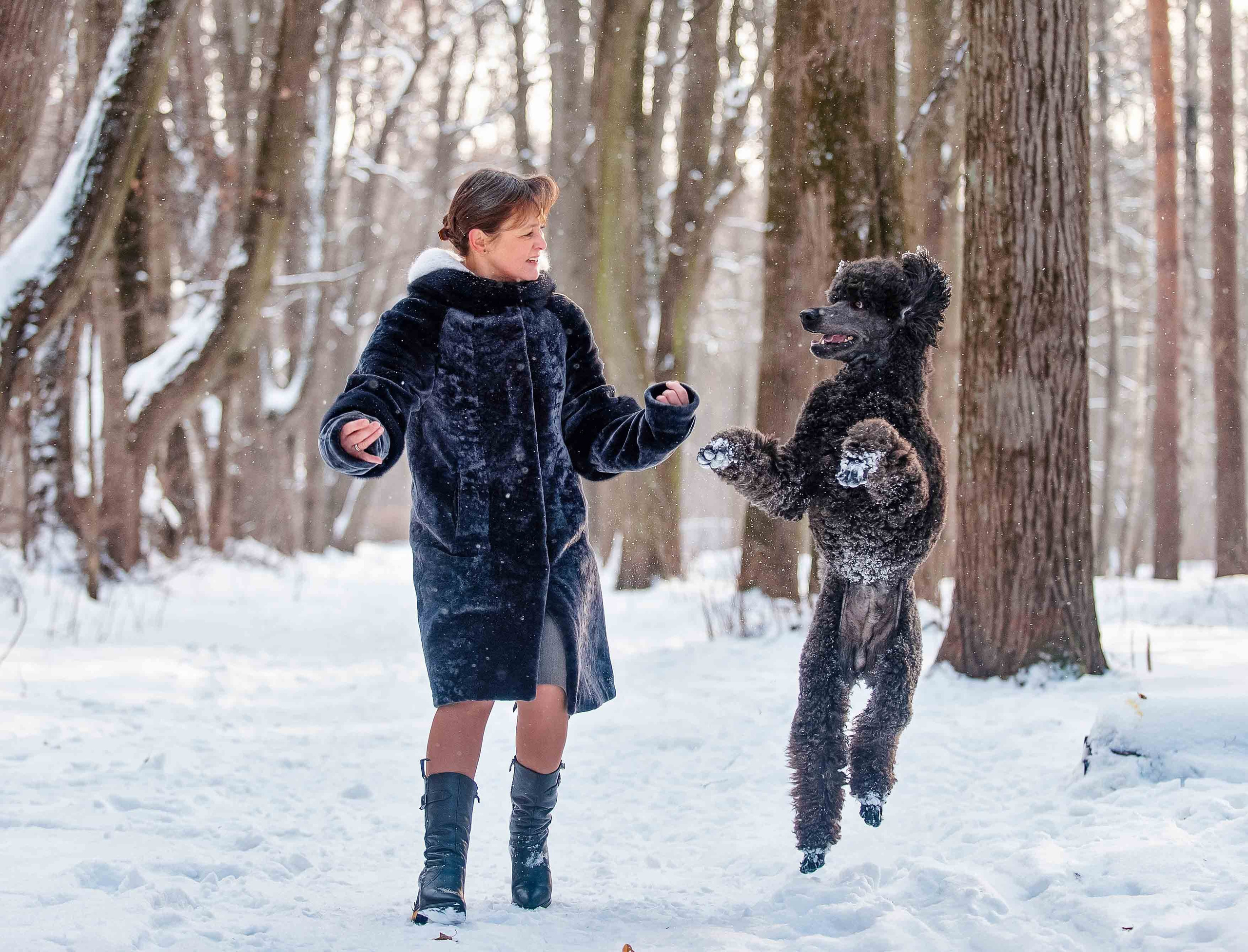Фото с домашними питомцами. Портретная и свадебная фотосъемка. Москва и область