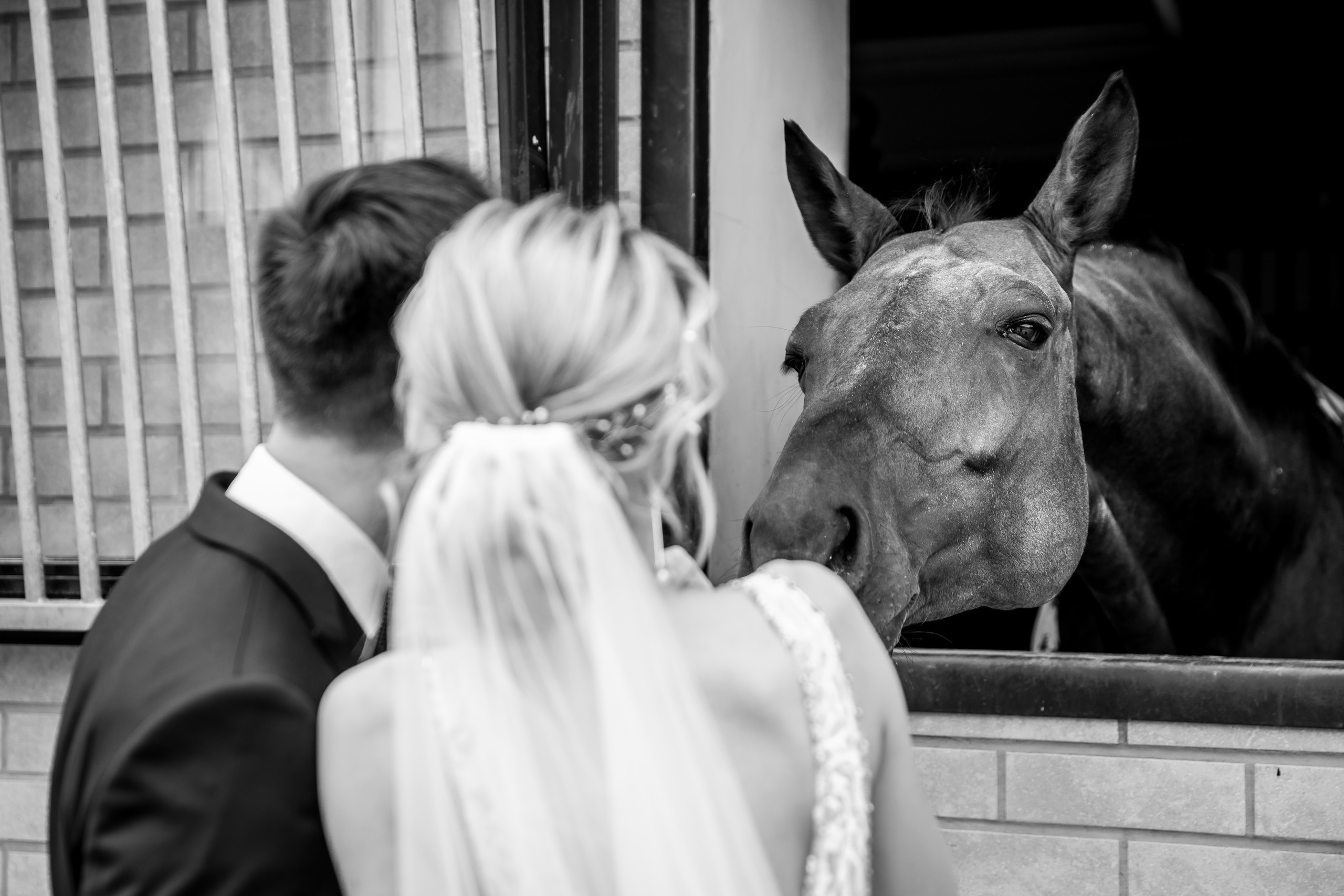 Свадебный фотограф в Санкт-Петербурге (Спб) и Тбилиси. Свадебный фотограф в Санкт-Петербурге и Москве LETU