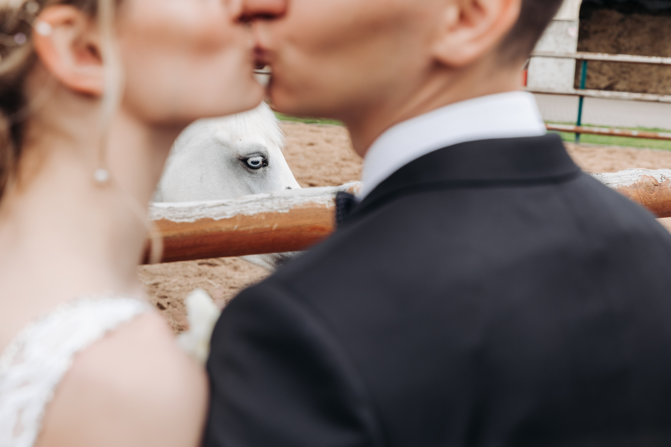 Свадебный фотограф в Санкт-Петербурге (Спб) и Тбилиси. Свадебный фотограф в Санкт-Петербурге и Москве LETU