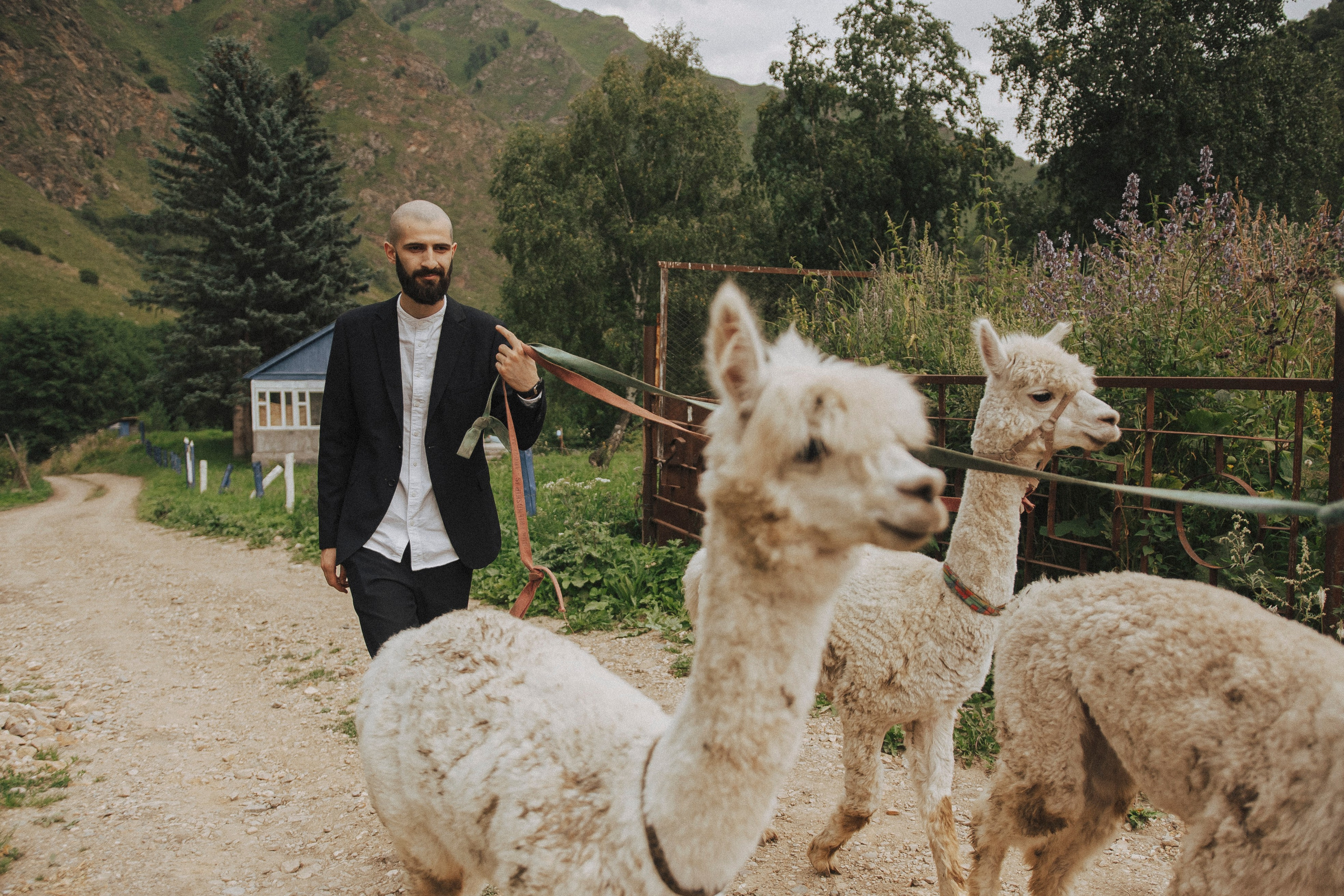 TIGRAN & VICTORIA | KISLOVODSK. Фотограф Настя Конник | Пятигорск | Эльбрус | Домбай | Архыз