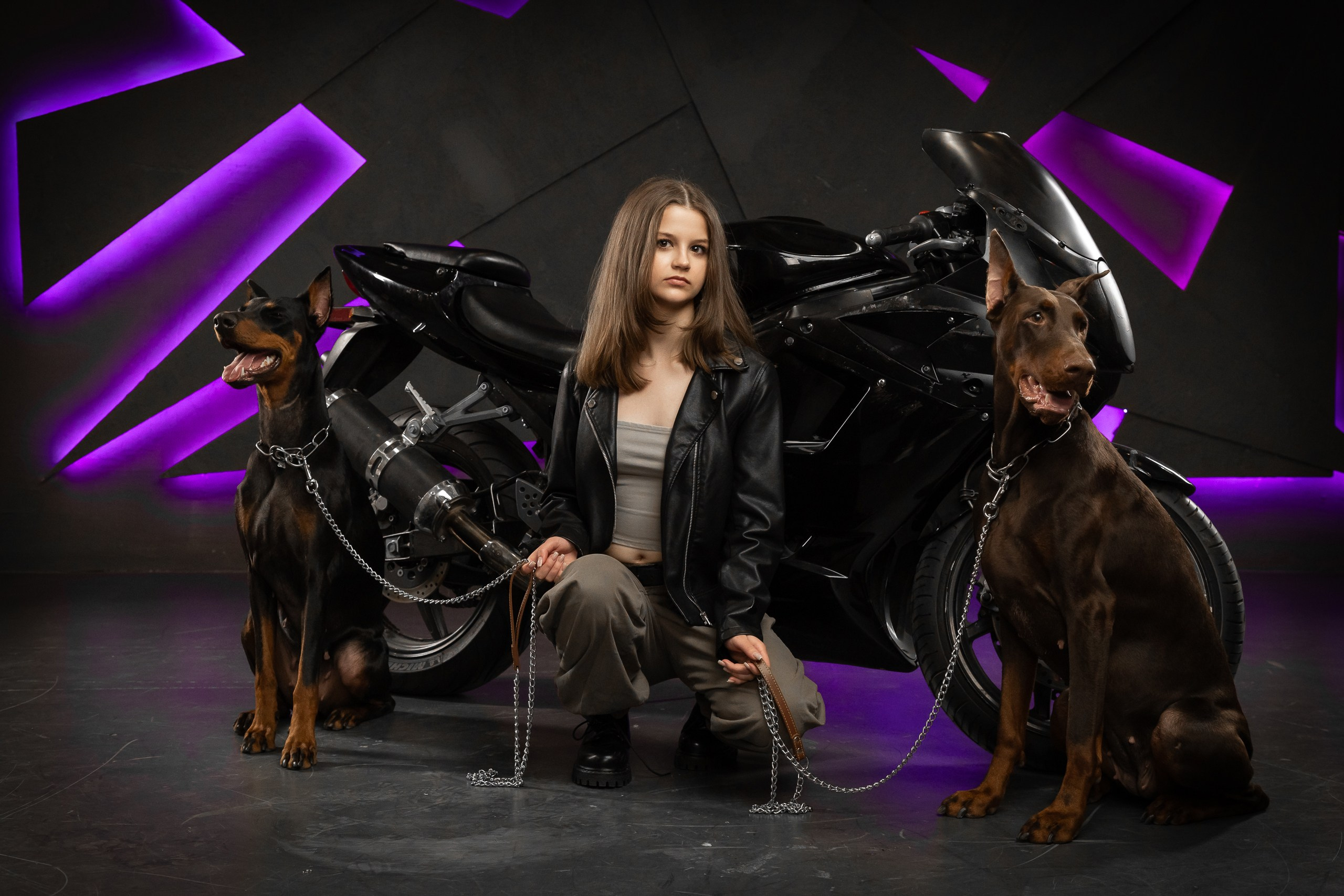 Фотосессия в студии с мотоциклом и доберманами. Фотограф в Санкт-Петербурге — Сергей Петров