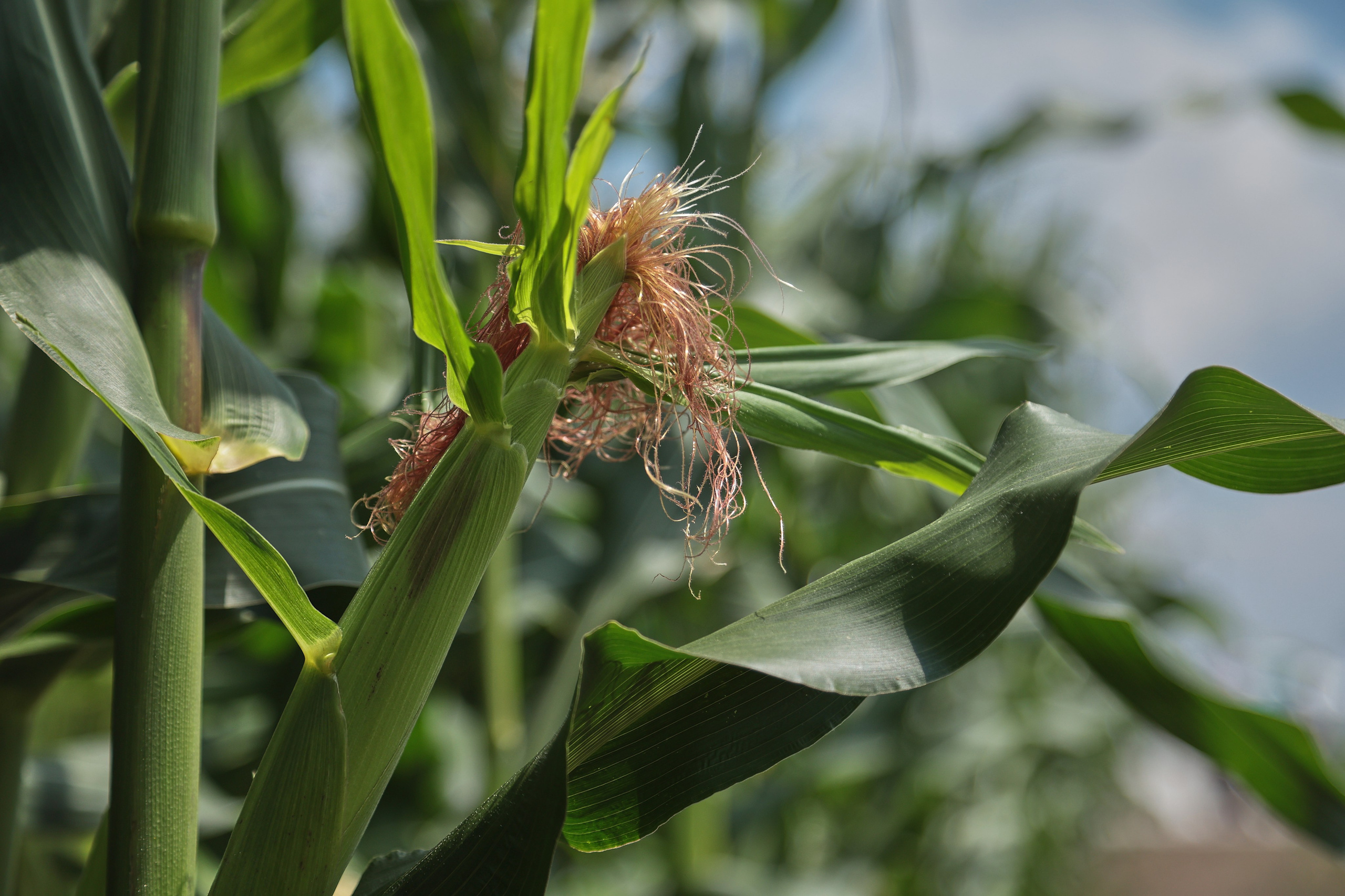 Репортажная съемка. Женский и контент фотограф Данилина Ирина в Москве