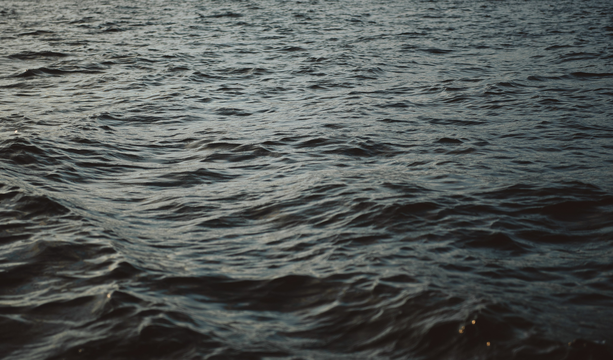 Лена и Миша. Семейный и свадебный фотограф в Нижнем Новгороде Анастасия Хренова