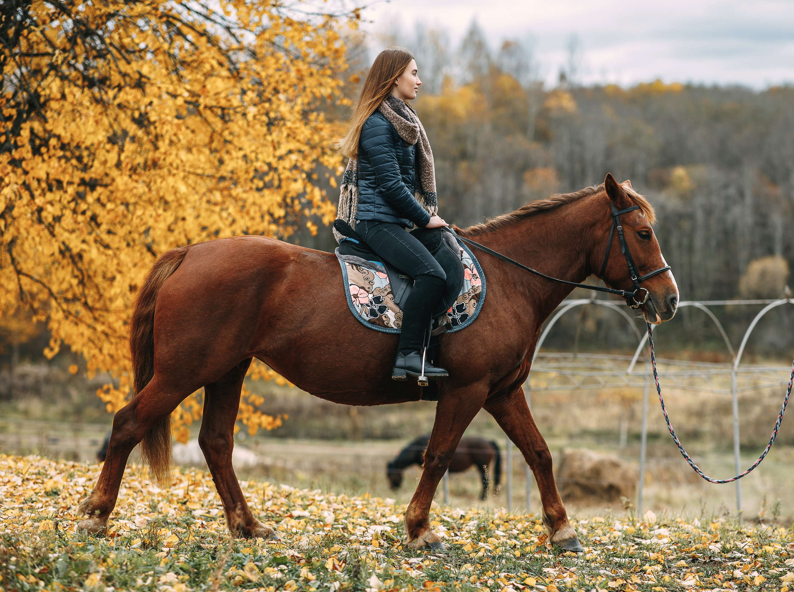 Конная прогулка. Фотограф г. Зубцов Елена Соколова