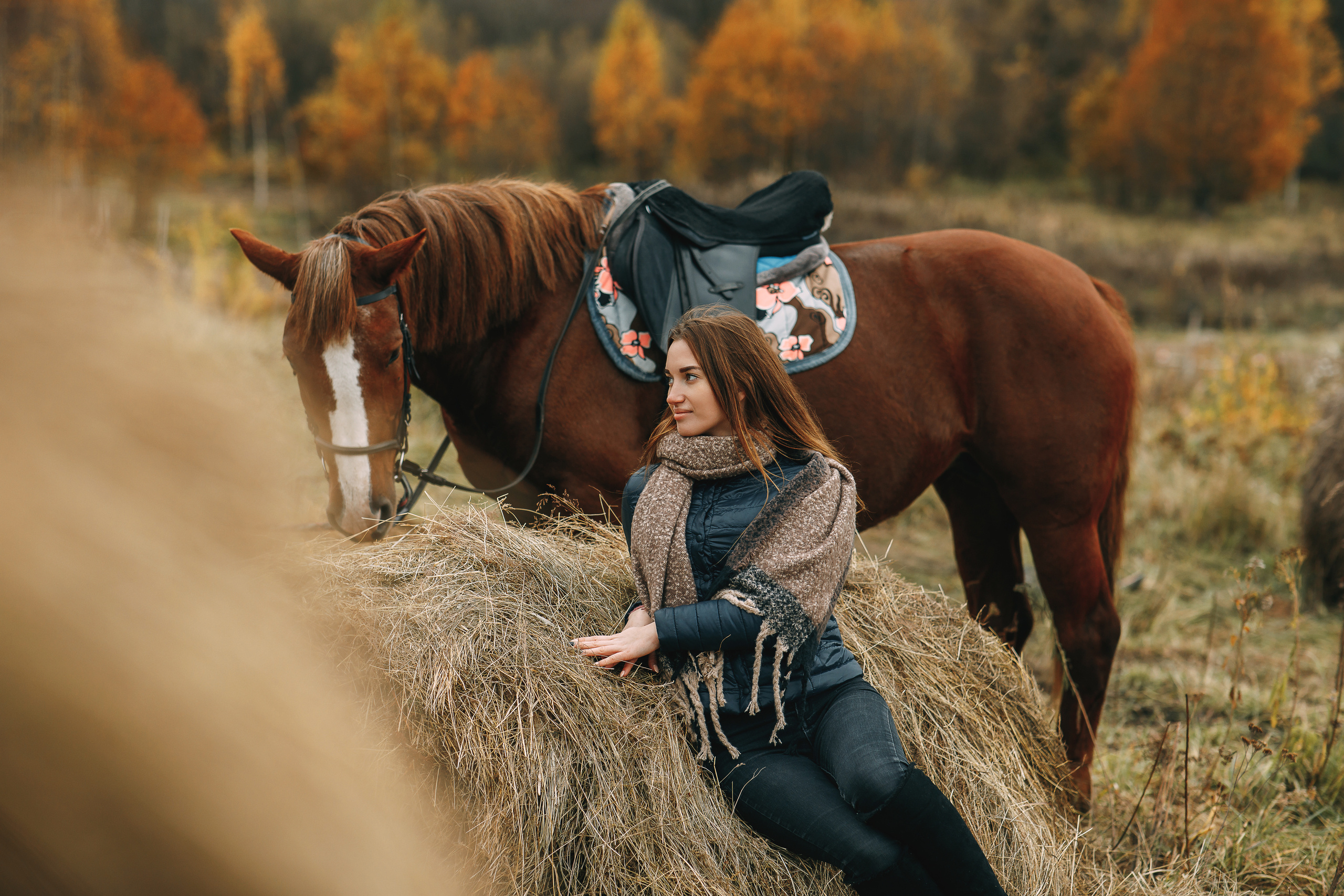 Конная прогулка. Фотограф г. Зубцов Елена Соколова