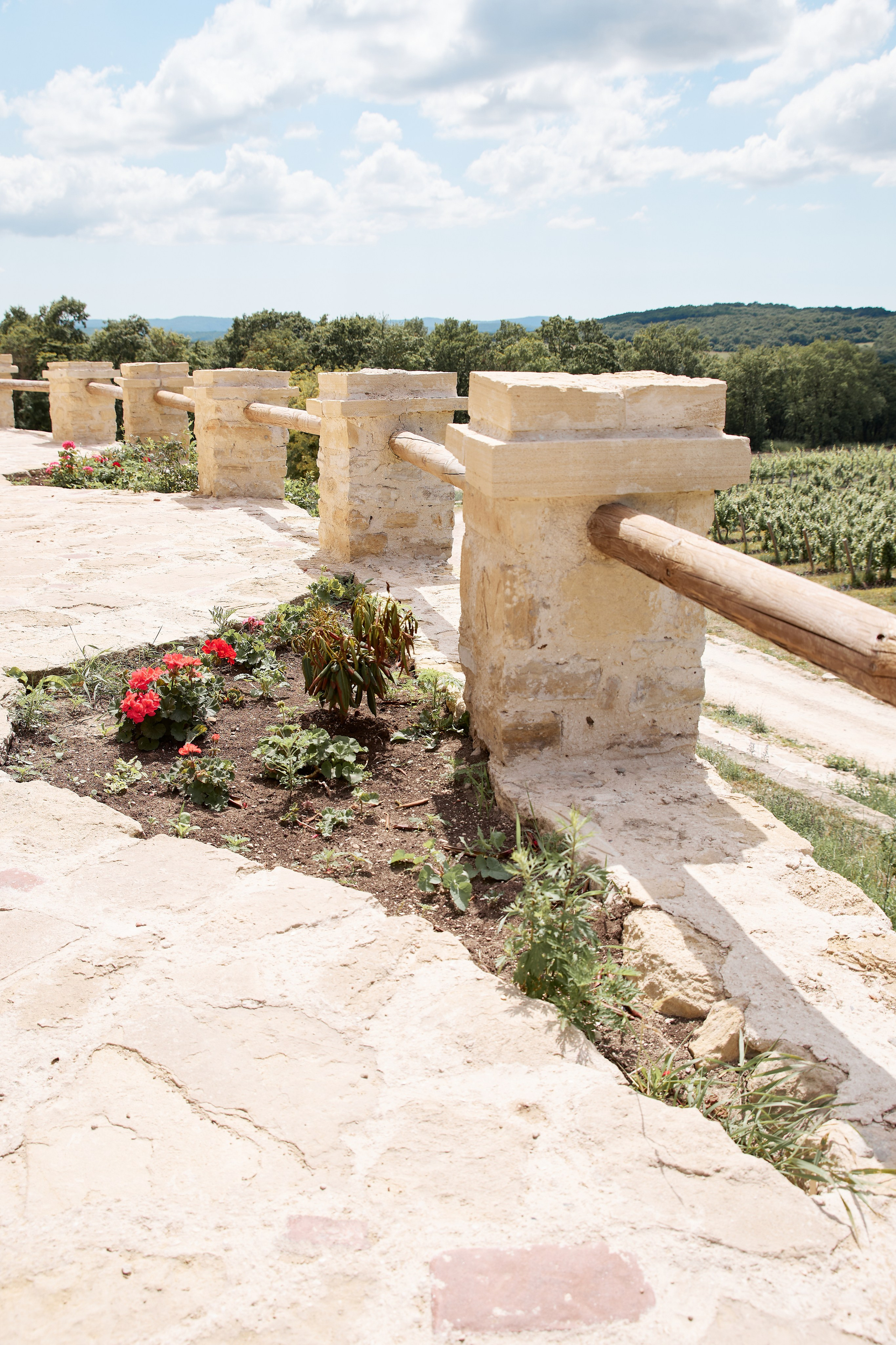 ОДНА ВИНОДЕЛЬНЯ. Репортажный и мужской фотограф в Краснодаре. Фотограф в Краснодаре
