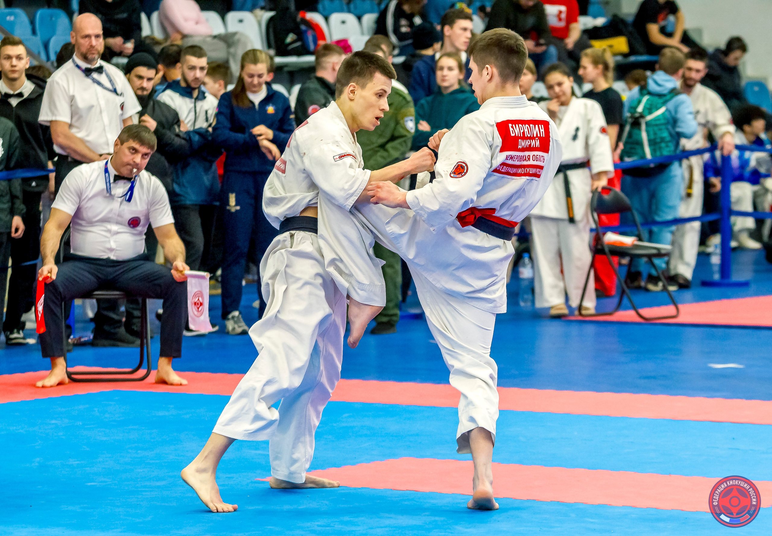 Международный турнир по киокушин «Открытый кубок Seiken». Репортажная съемка в Москве и области. Анималистика