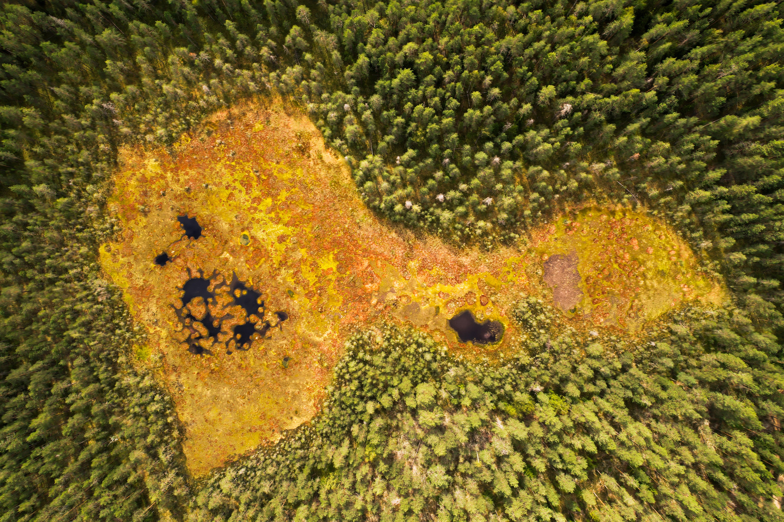 Пейзаж. Документальный фотограф Сергей Вдовин