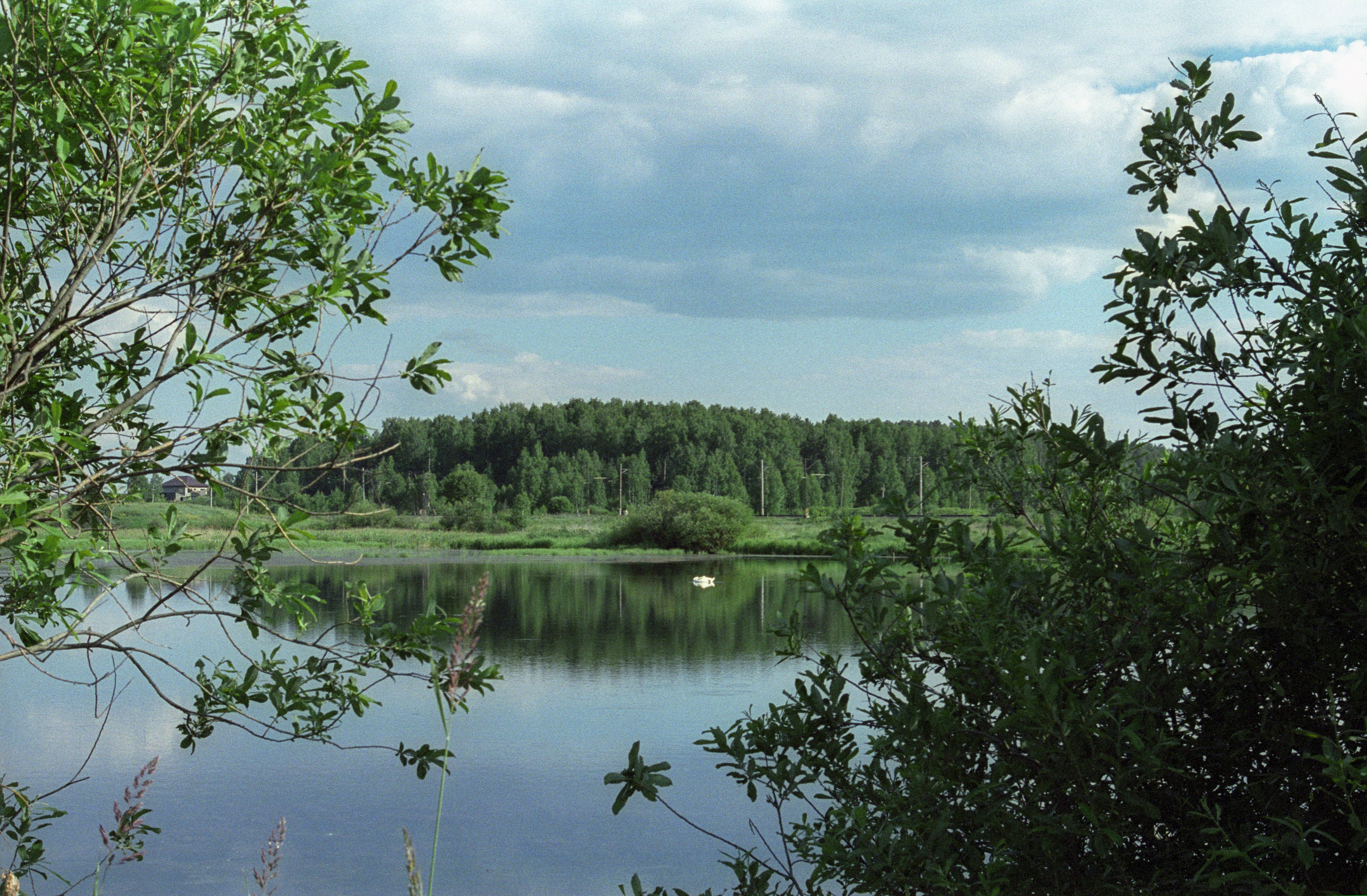 Лето в городе. Фотограф в Санкт-Петербурге Березовский Даниил