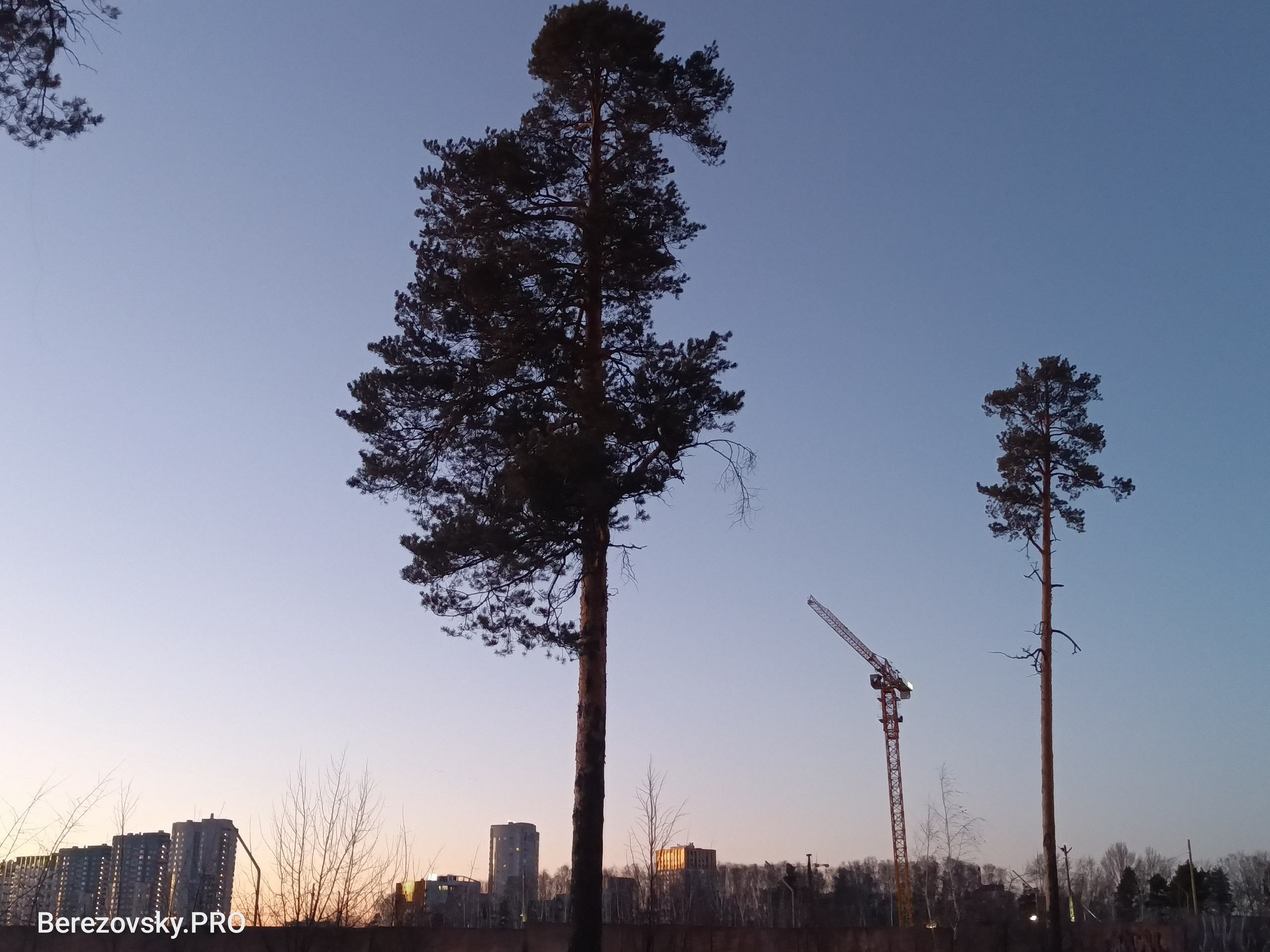 Солнечный. Фотограф в Санкт-Петербурге Березовский Даниил