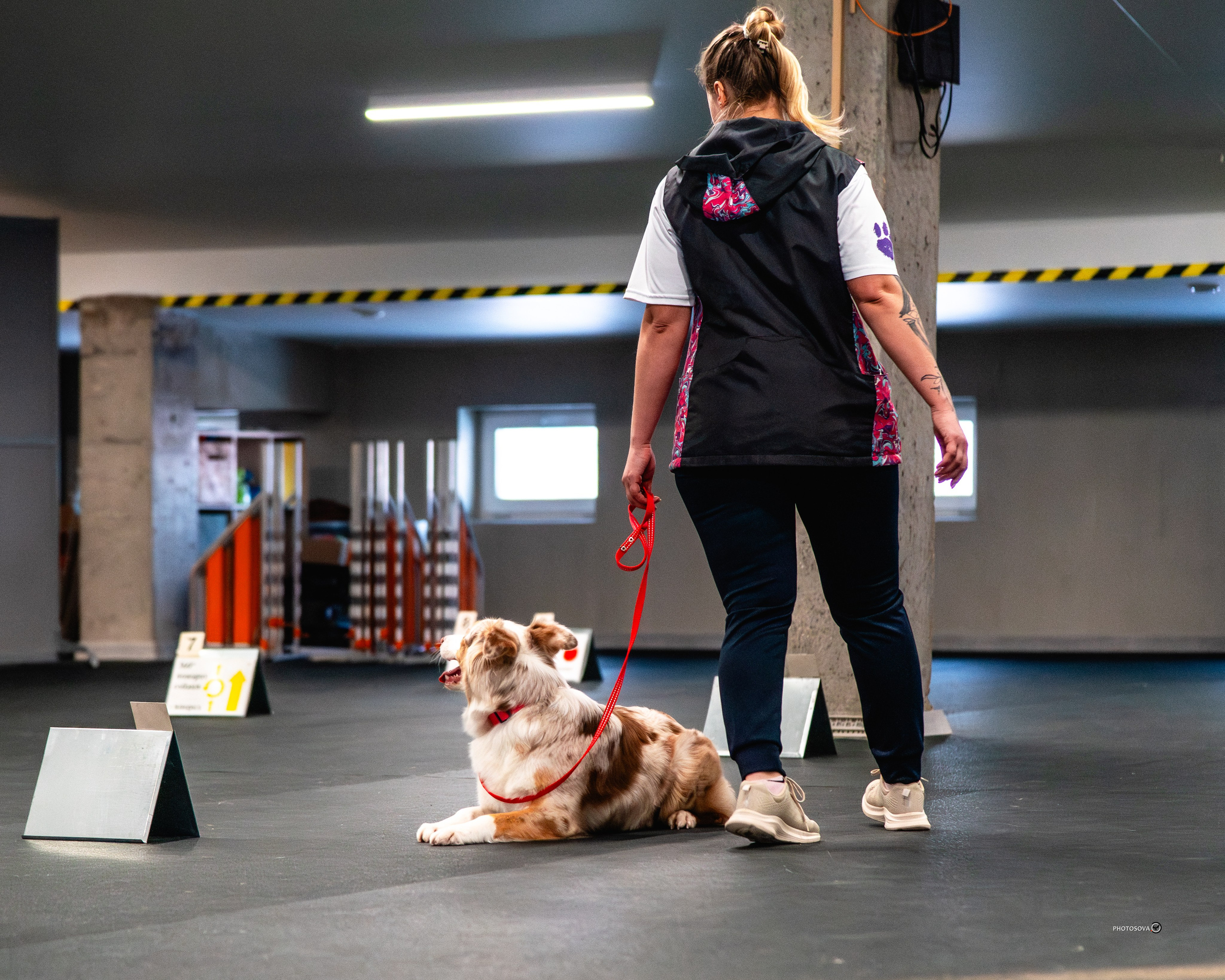 ТЫ И Я (соревнования по ралли-обидиенс). Фотограф-анималист, семейный фотограф в Москве и Подмосковье. Фотосъёмка кинологических дисциплин