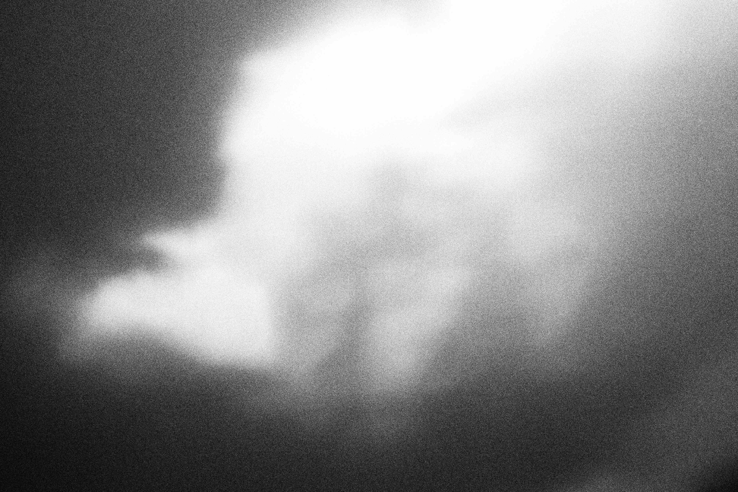 «Видеть. Чувствовать. Сохранять»