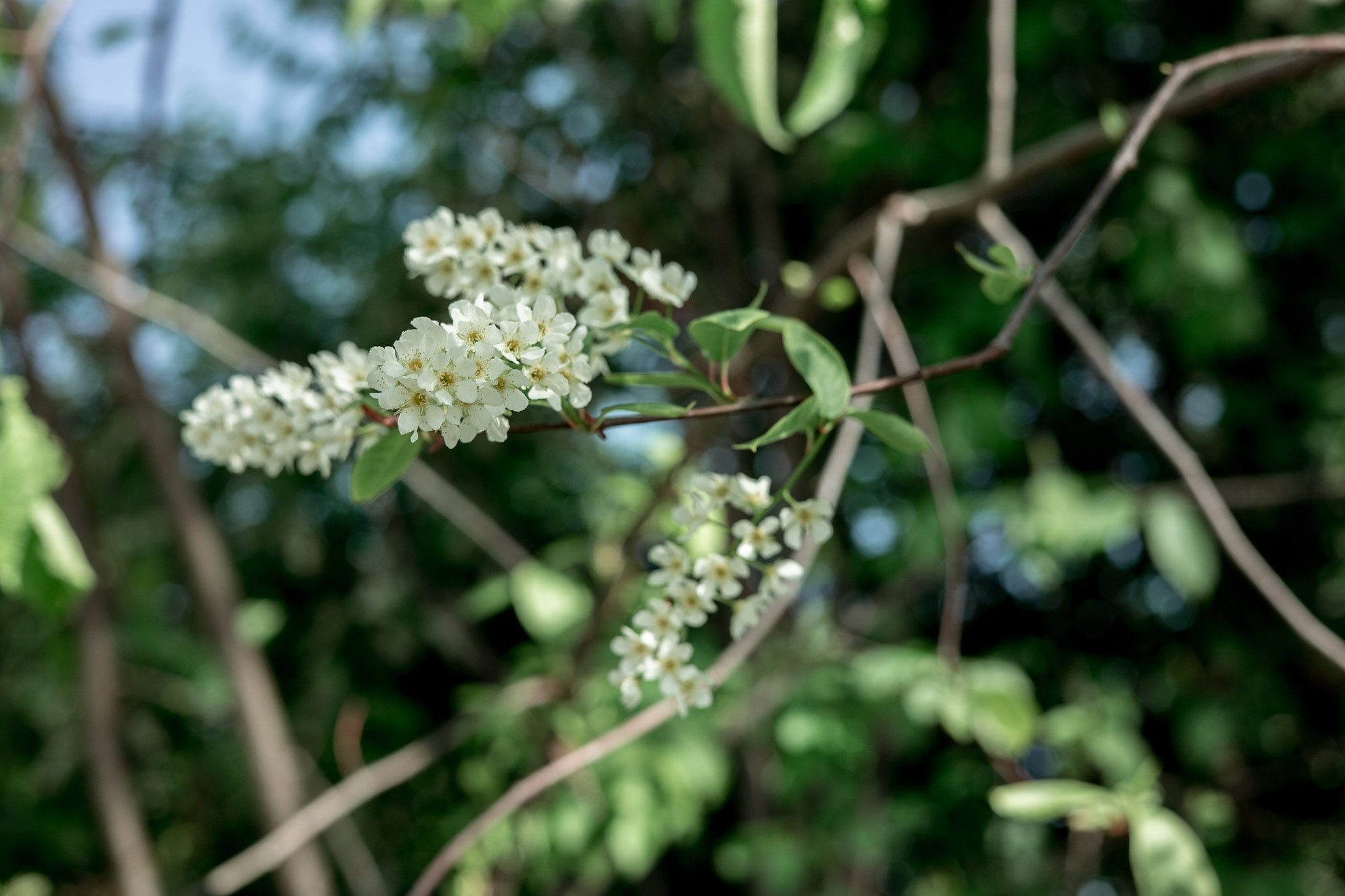 Коллекция пейзажных фотографий. Photographer Sonkina Tatiana (Tanya Ash)