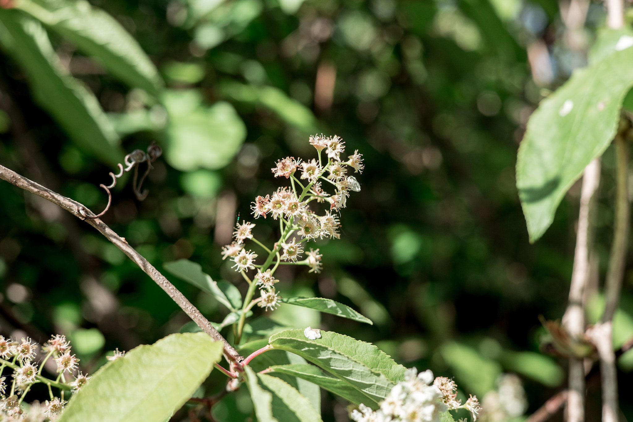 Коллекция пейзажных фотографий. Photographer Sonkina Tatiana (Tanya Ash)