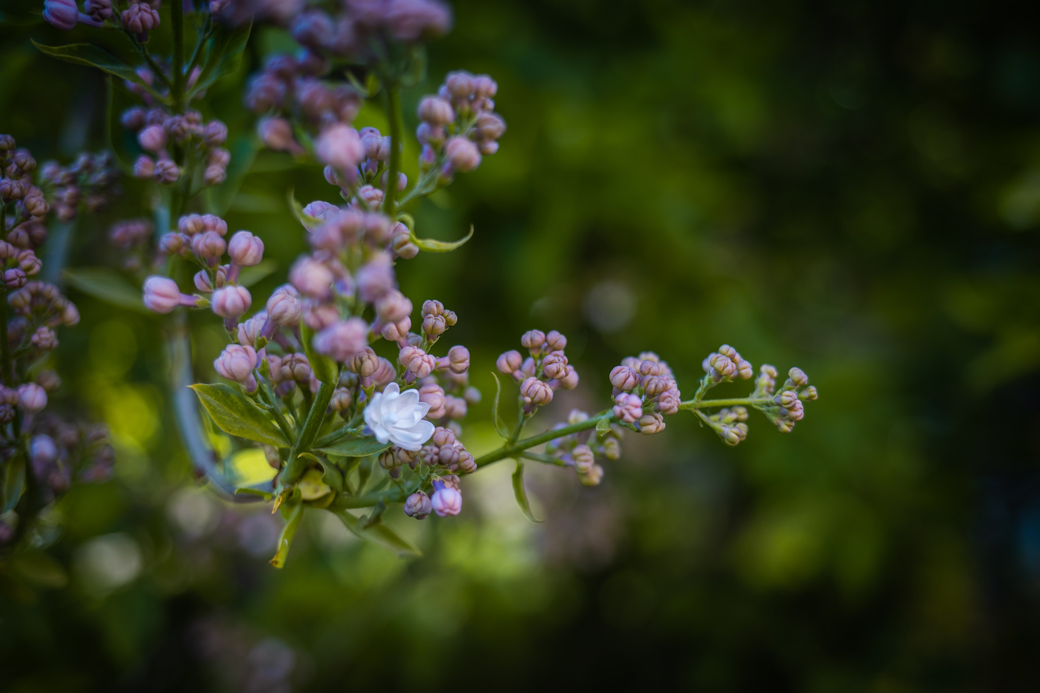 Коллекция пейзажных фотографий. Photographer Sonkina Tatiana (Tanya Ash)