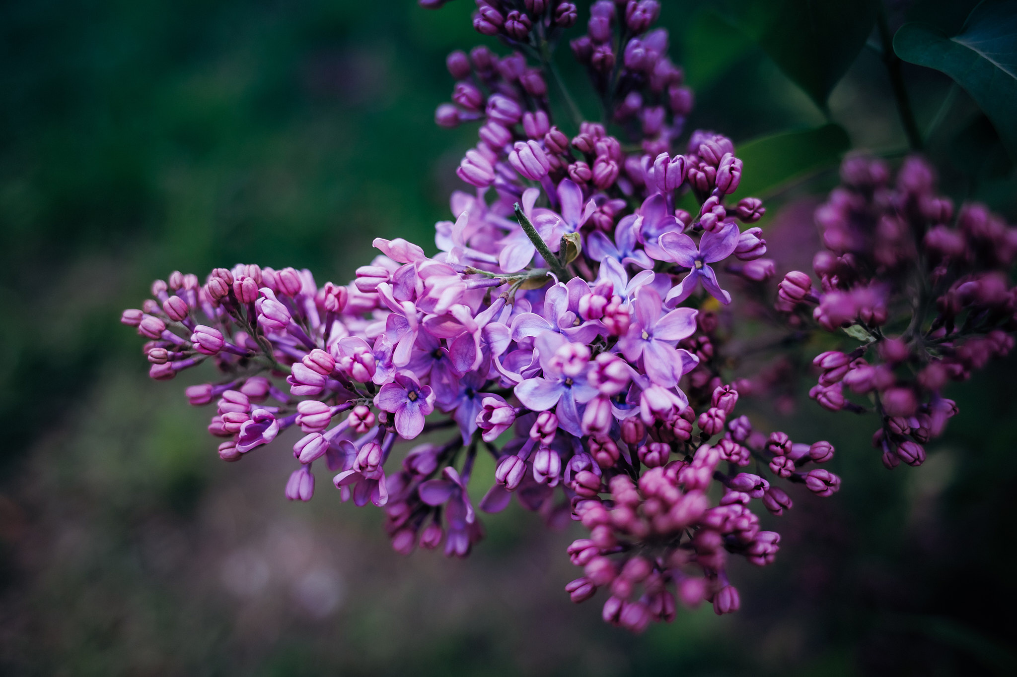 Коллекция пейзажных фотографий. Photographer Sonkina Tatiana (Tanya Ash)