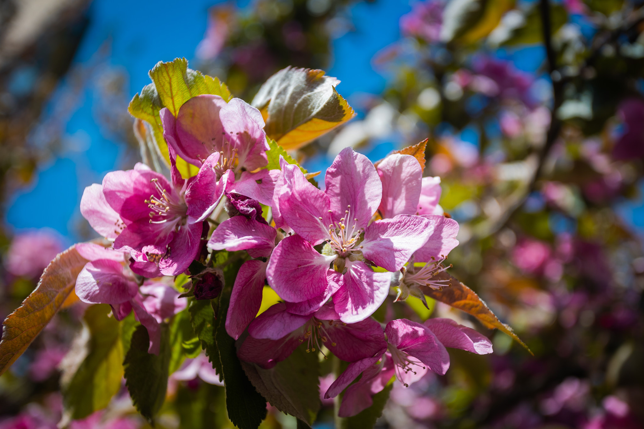 Коллекция пейзажных фотографий. Photographer Sonkina Tatiana (Tanya Ash)