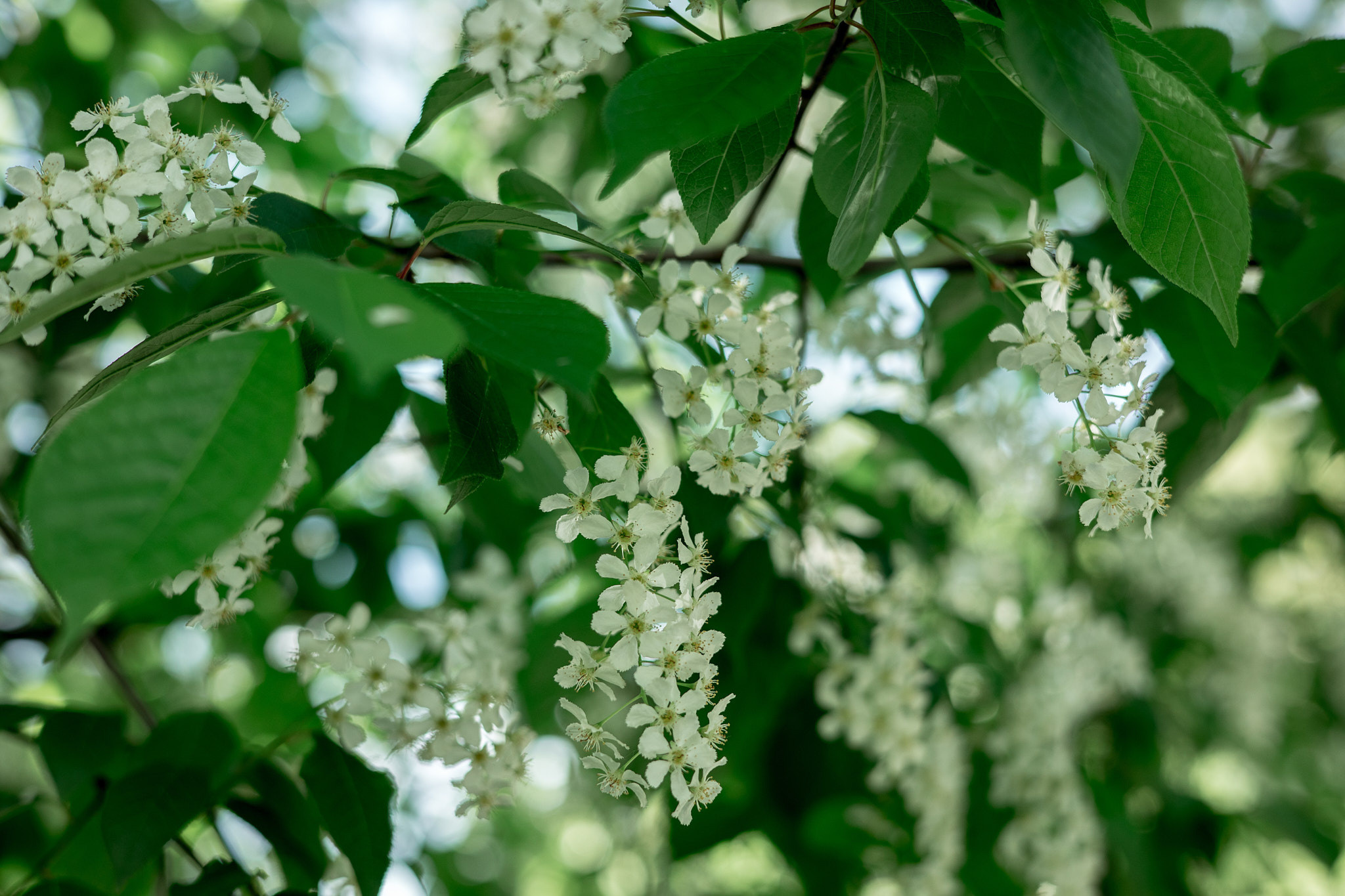 Коллекция пейзажных фотографий. Photographer Sonkina Tatiana (Tanya Ash)