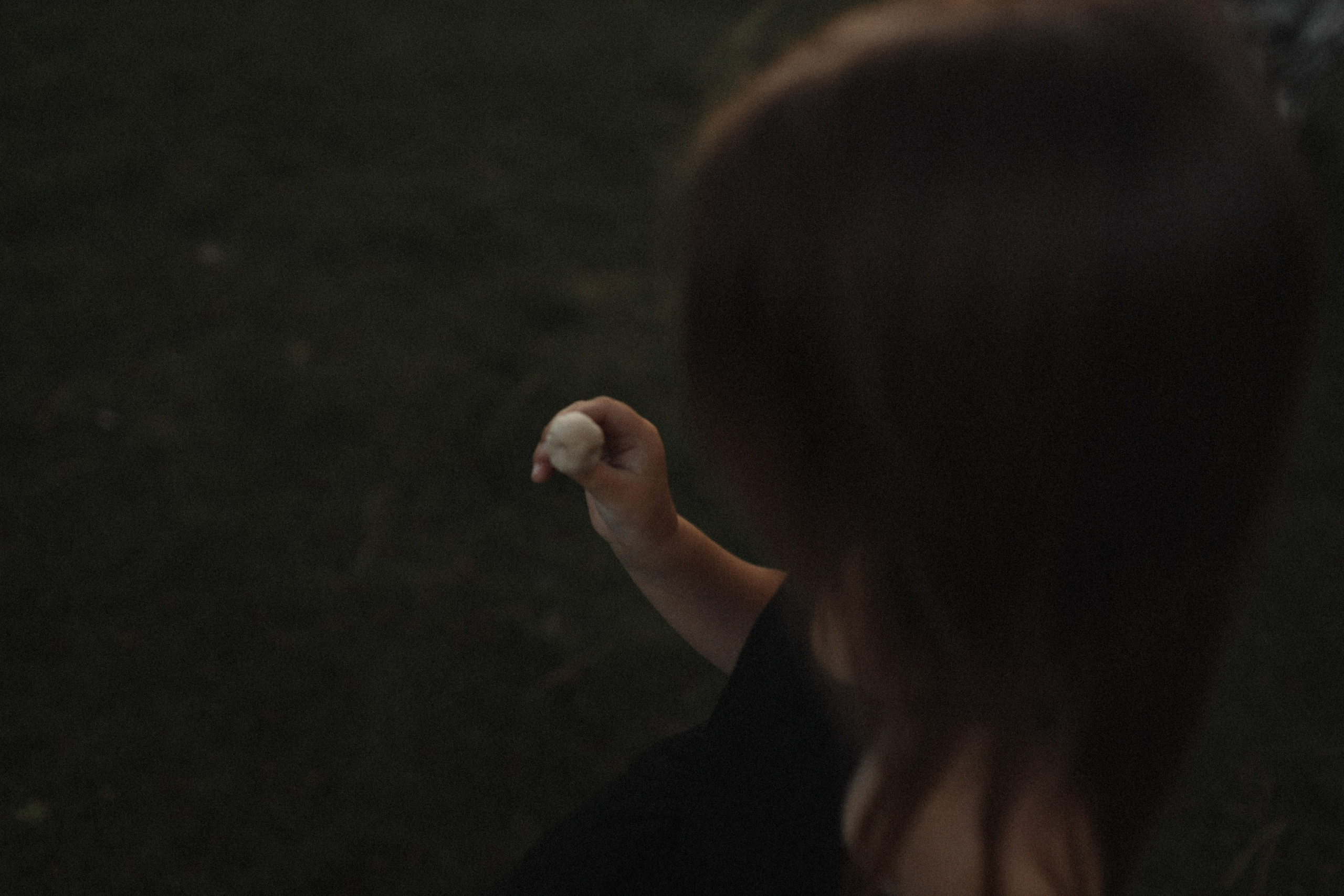 Mushrooms. Фотограф Воронцова Виталия Крым Севастополь