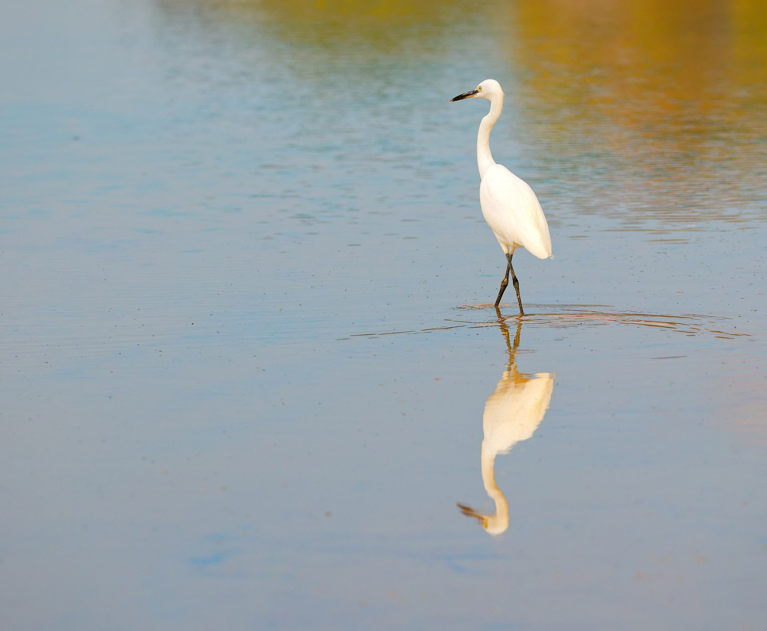 ПРИРОДА. Слепки времени. Фотографии природы и событий. Москва. Сергей Аллагулов