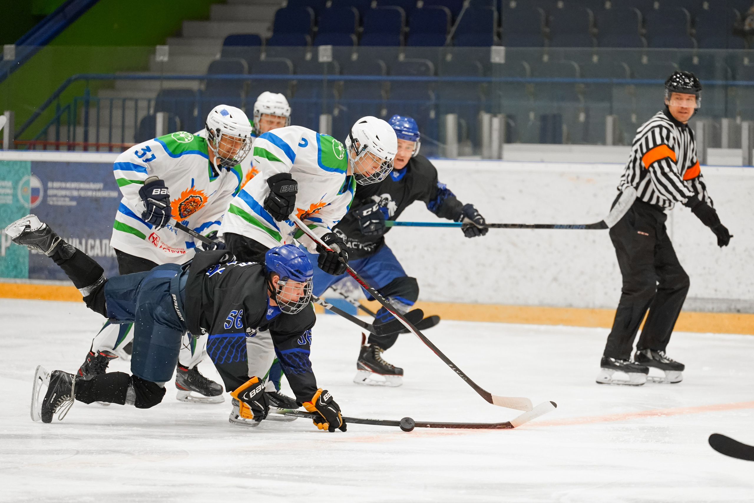 Башкирская хоккейная лига. Маслухин Дмитрий — Ваш Фотограф
