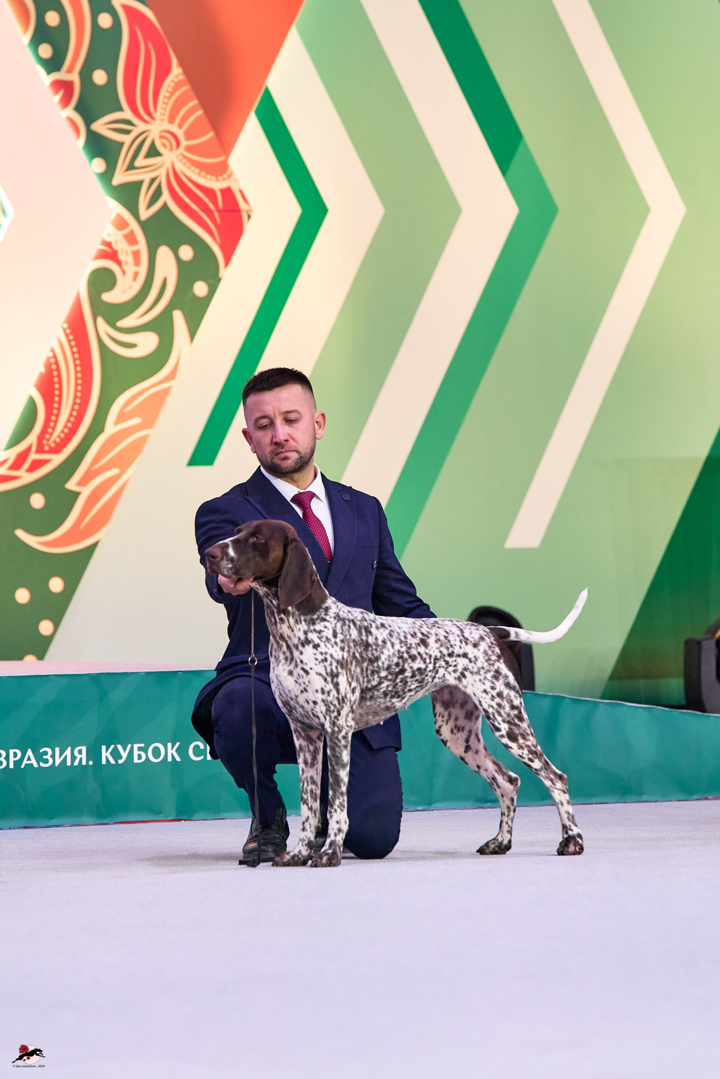 17.11.2024 «ЕВРАЗИЯ. КУБОК СНГ 2024»