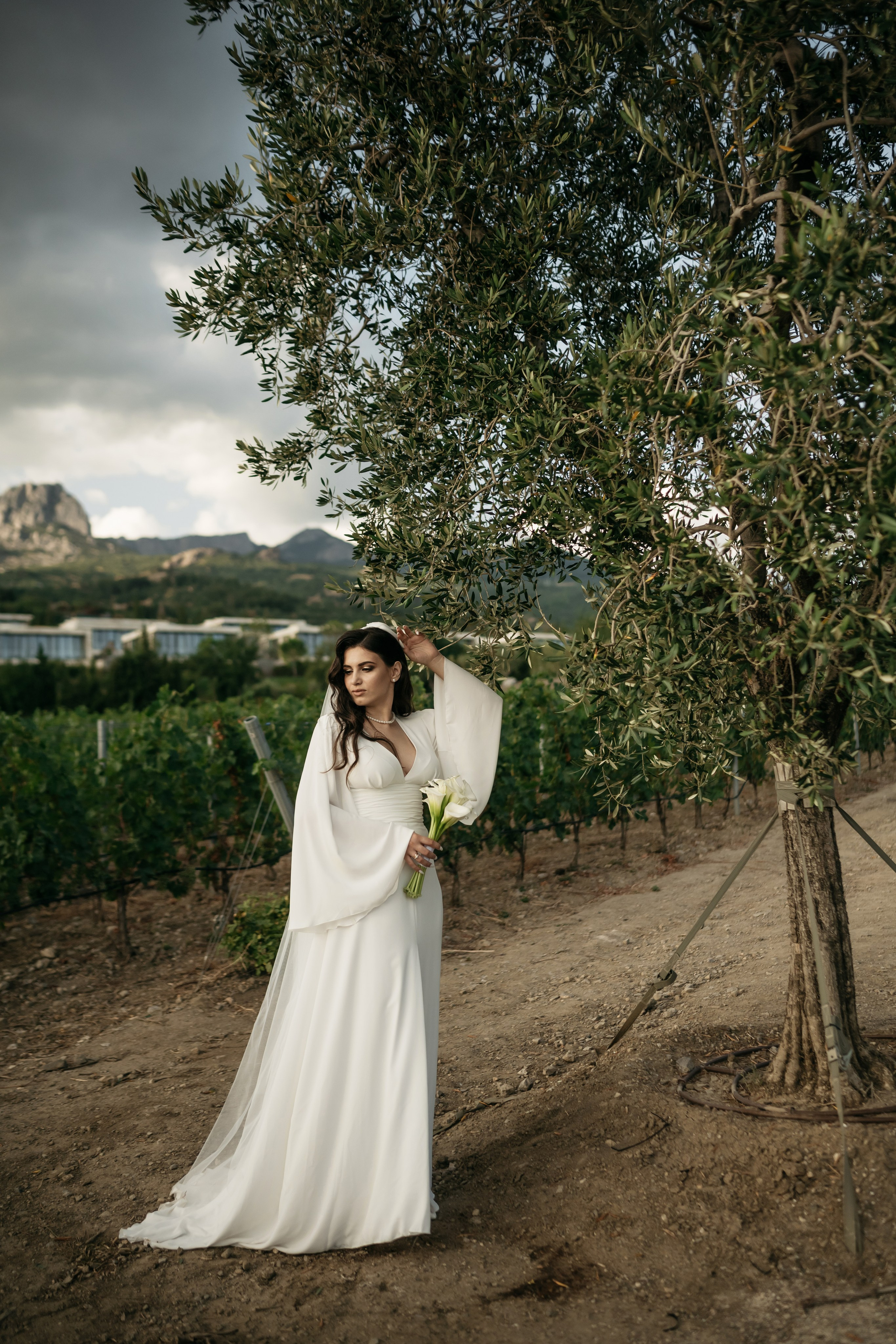 Свадьба в Винном парке в Крыму. Свадебный и семейный фотограф и видеограф, Крым, Москва, Санкт -Петербург