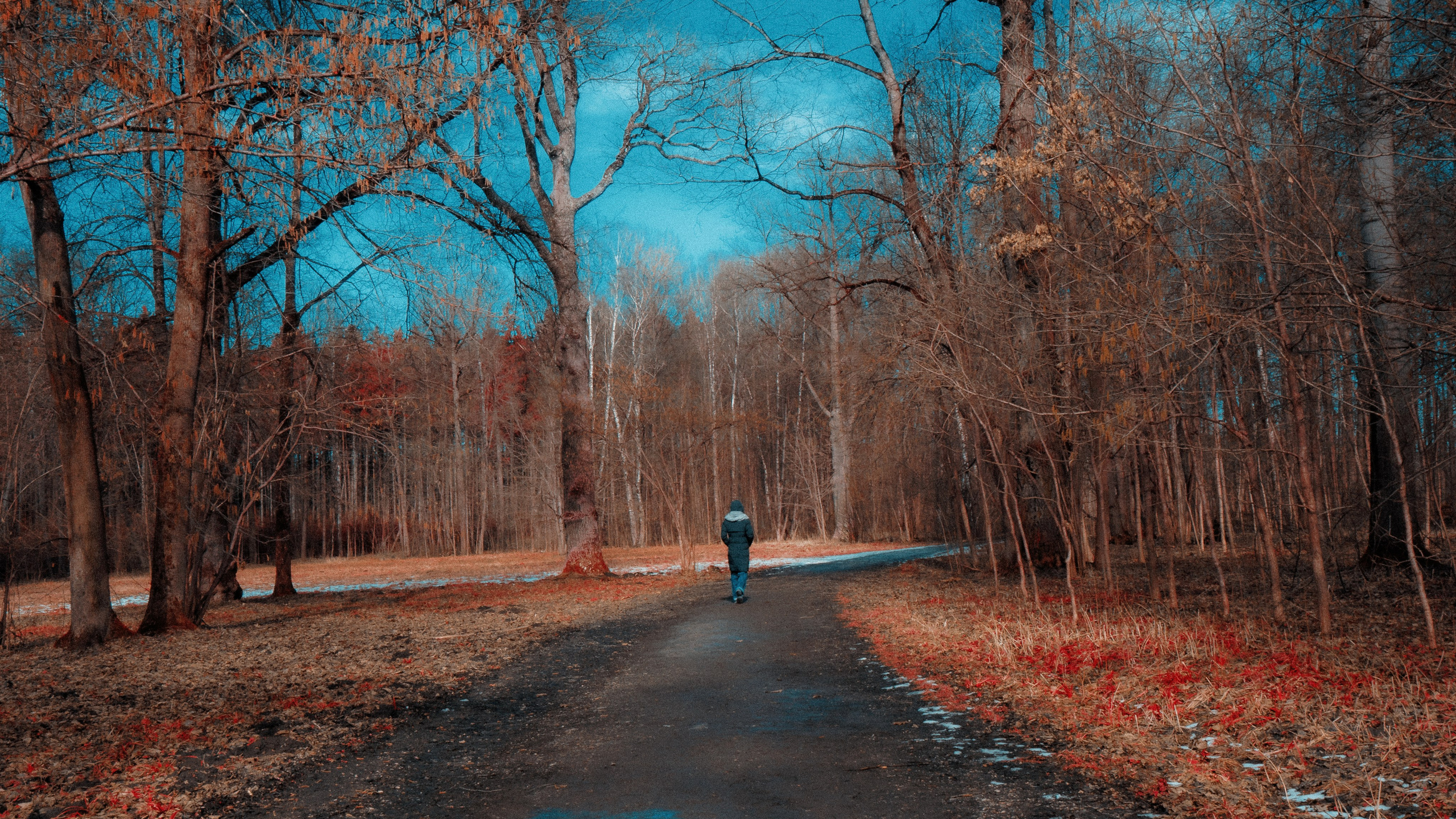 Тула '25. Фёдор Малюгин. Ваш бади в визуале