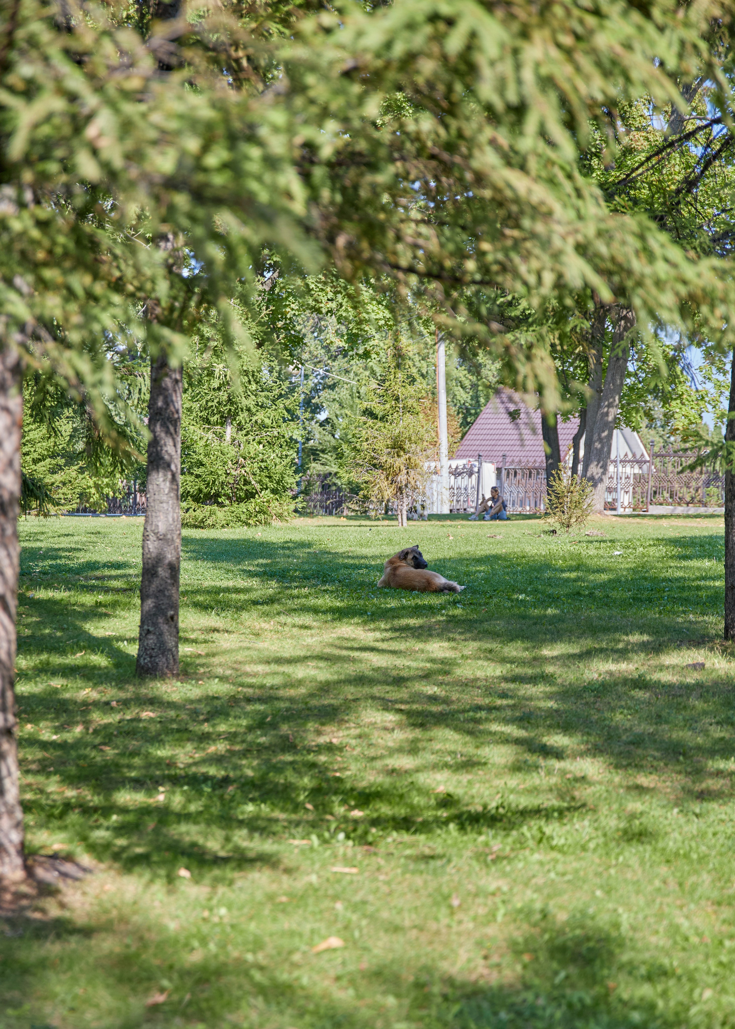 Загородный парк. Фотограф в Самаре Анастасия Афанасьева