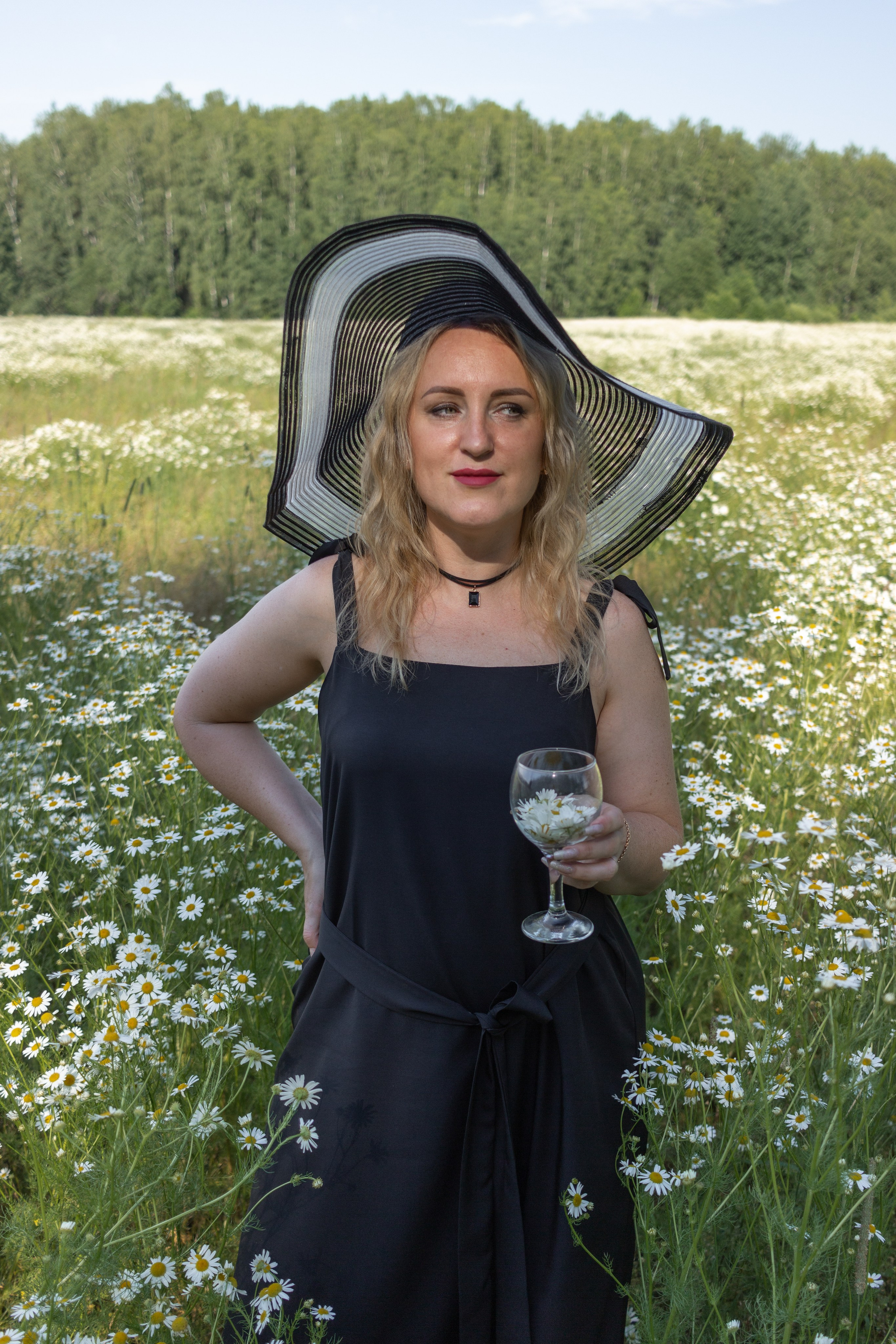 Ромашковое поле. Фотограф в Городце Розова Елена