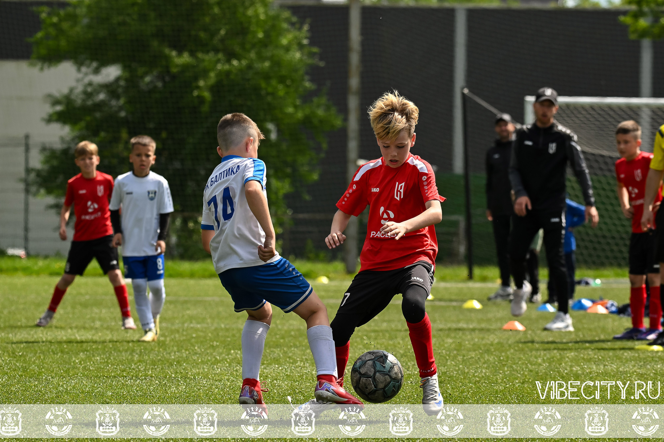 Большие Звезды светят Малым. VIBECITY.RU Вайб Сити Ру Фоторепортажи Фотоотчеты Калининград