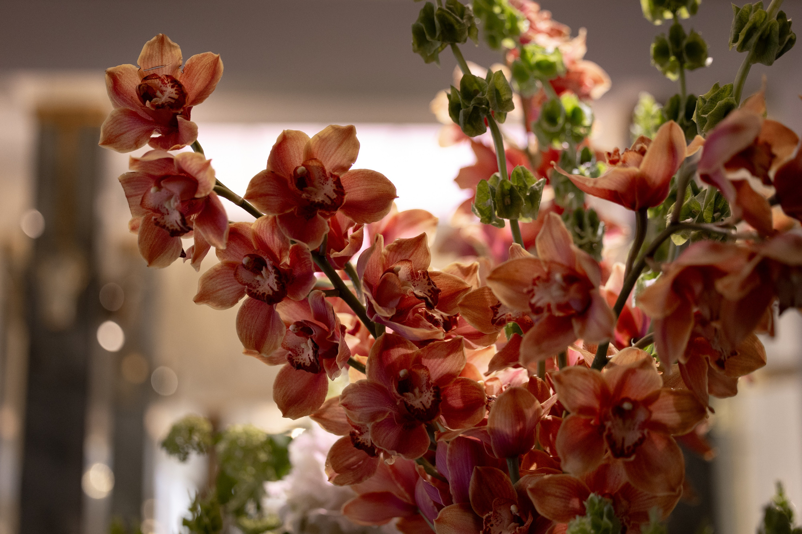 «Новые Горизонты» Санкт-Петербург. Агентство по организации мероприятий