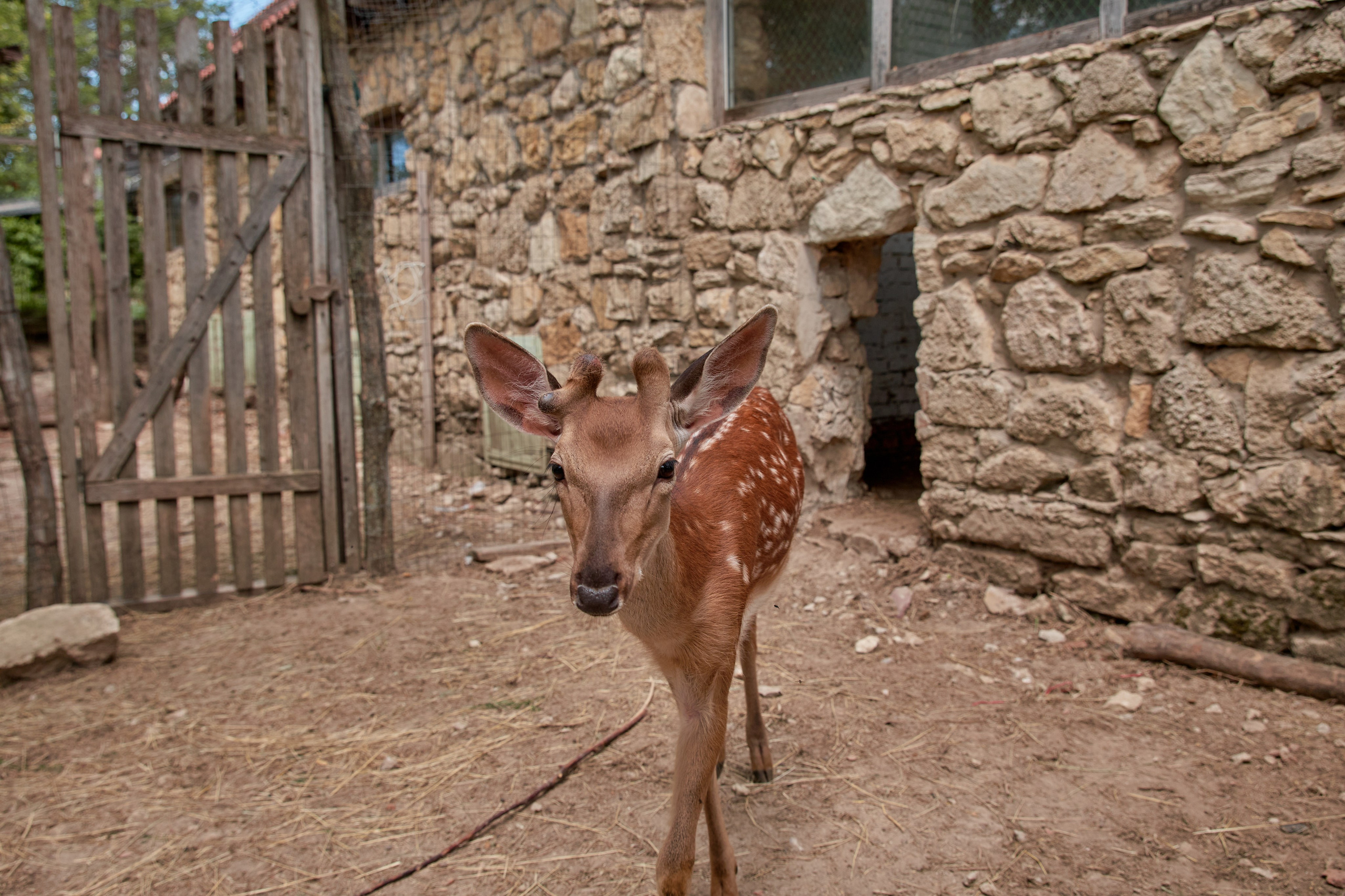 ОДНА ВИНОДЕЛЬНЯ. Репортажный и мужской фотограф в Краснодаре. Фотограф в Краснодаре